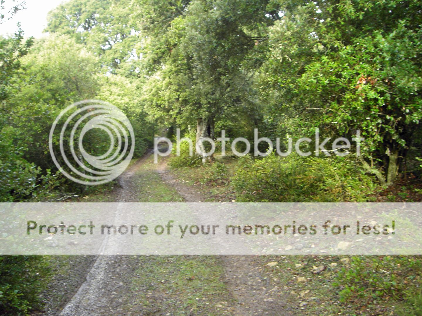 Photo Sharing and Video Hosting at Photobucket