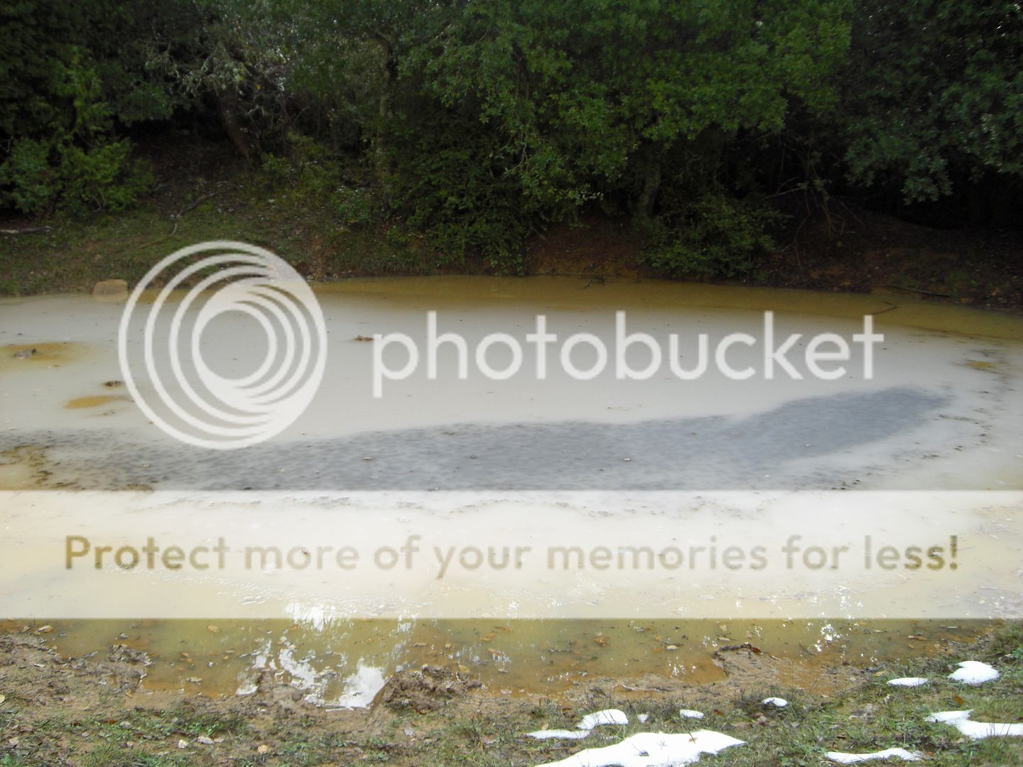 Photo Sharing and Video Hosting at Photobucket