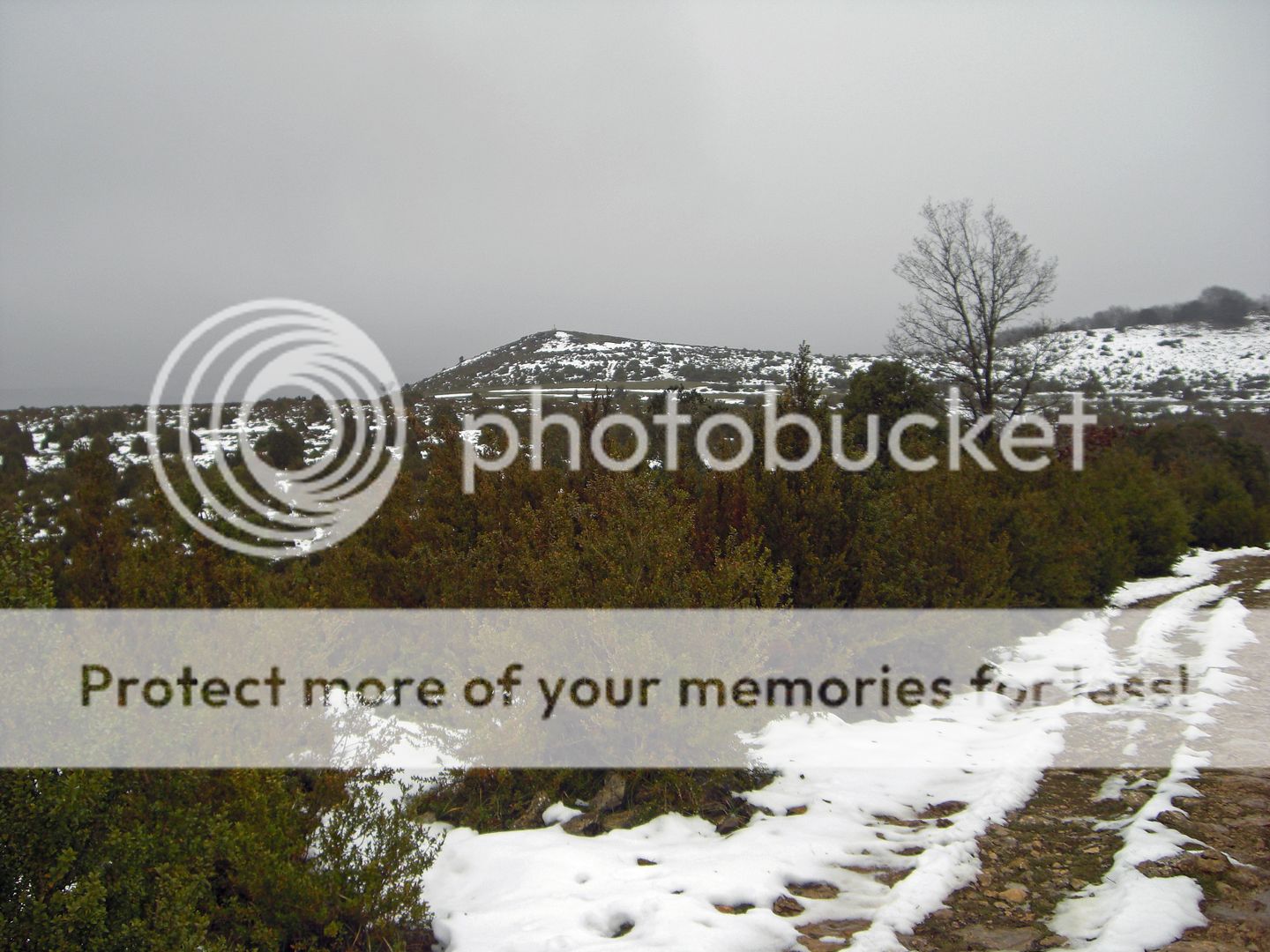 Photo Sharing and Video Hosting at Photobucket