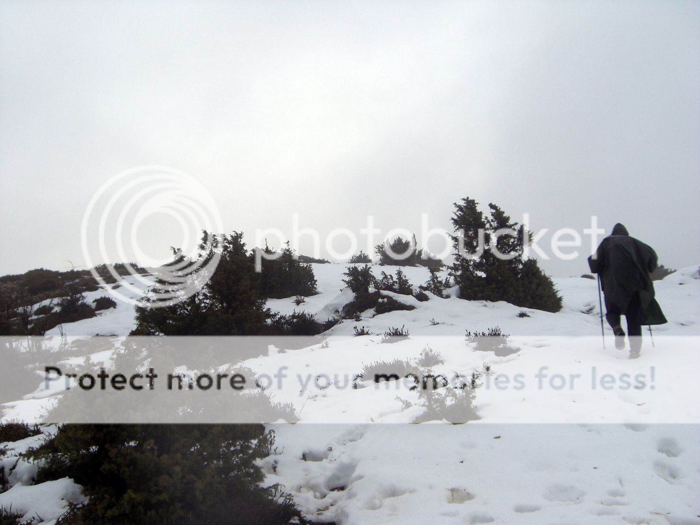 Photo Sharing and Video Hosting at Photobucket