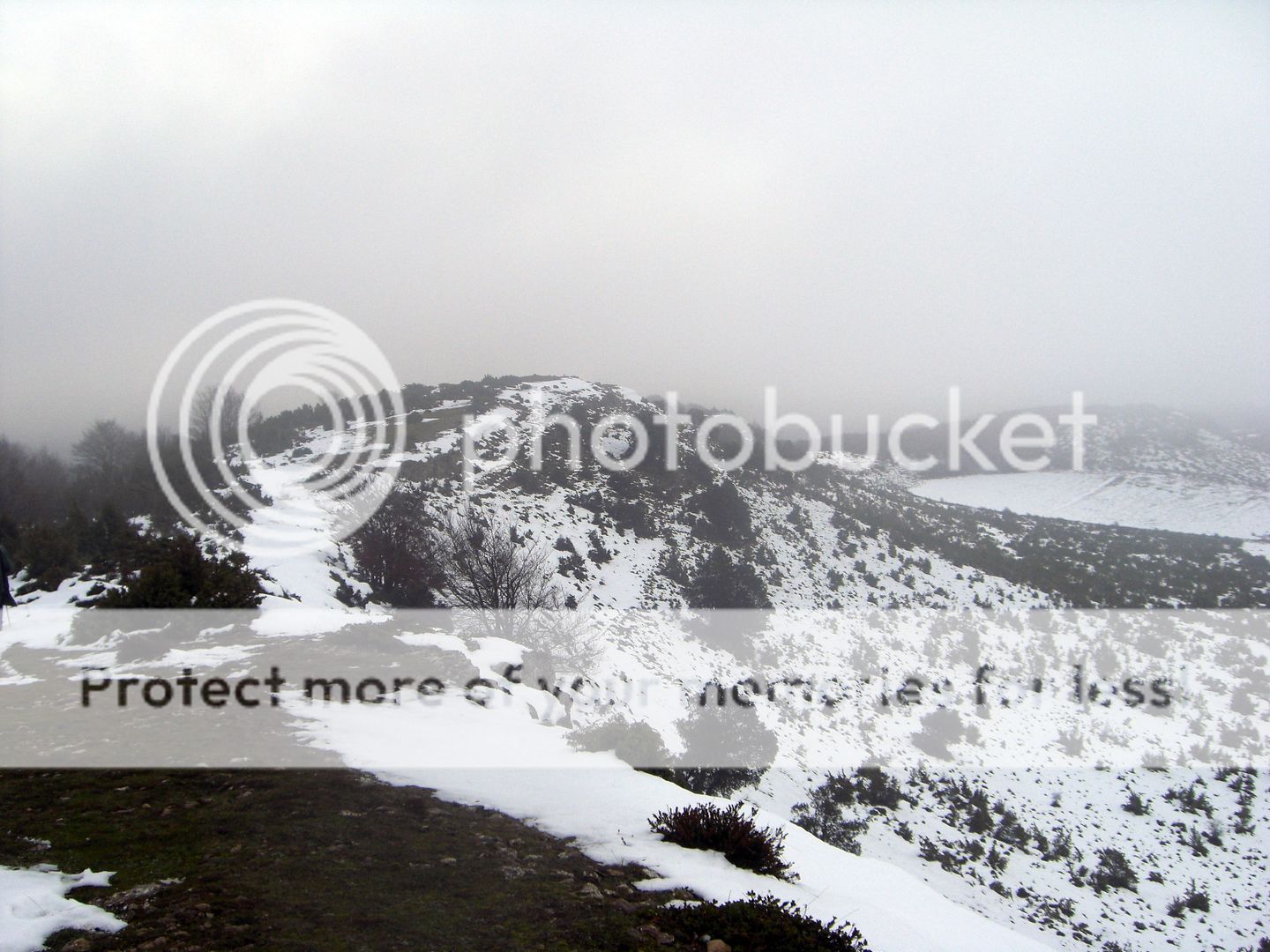Photo Sharing and Video Hosting at Photobucket