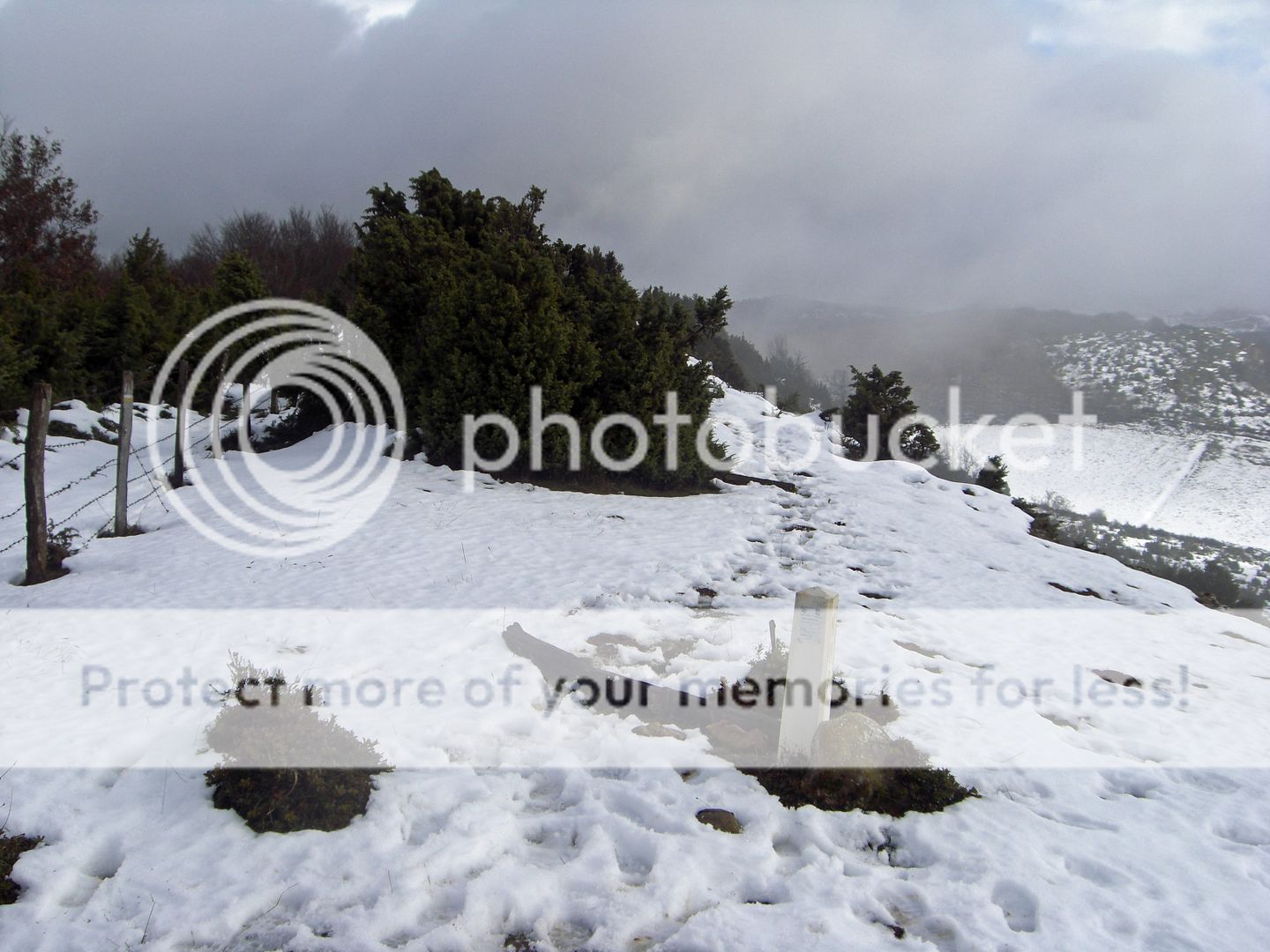 Photo Sharing and Video Hosting at Photobucket