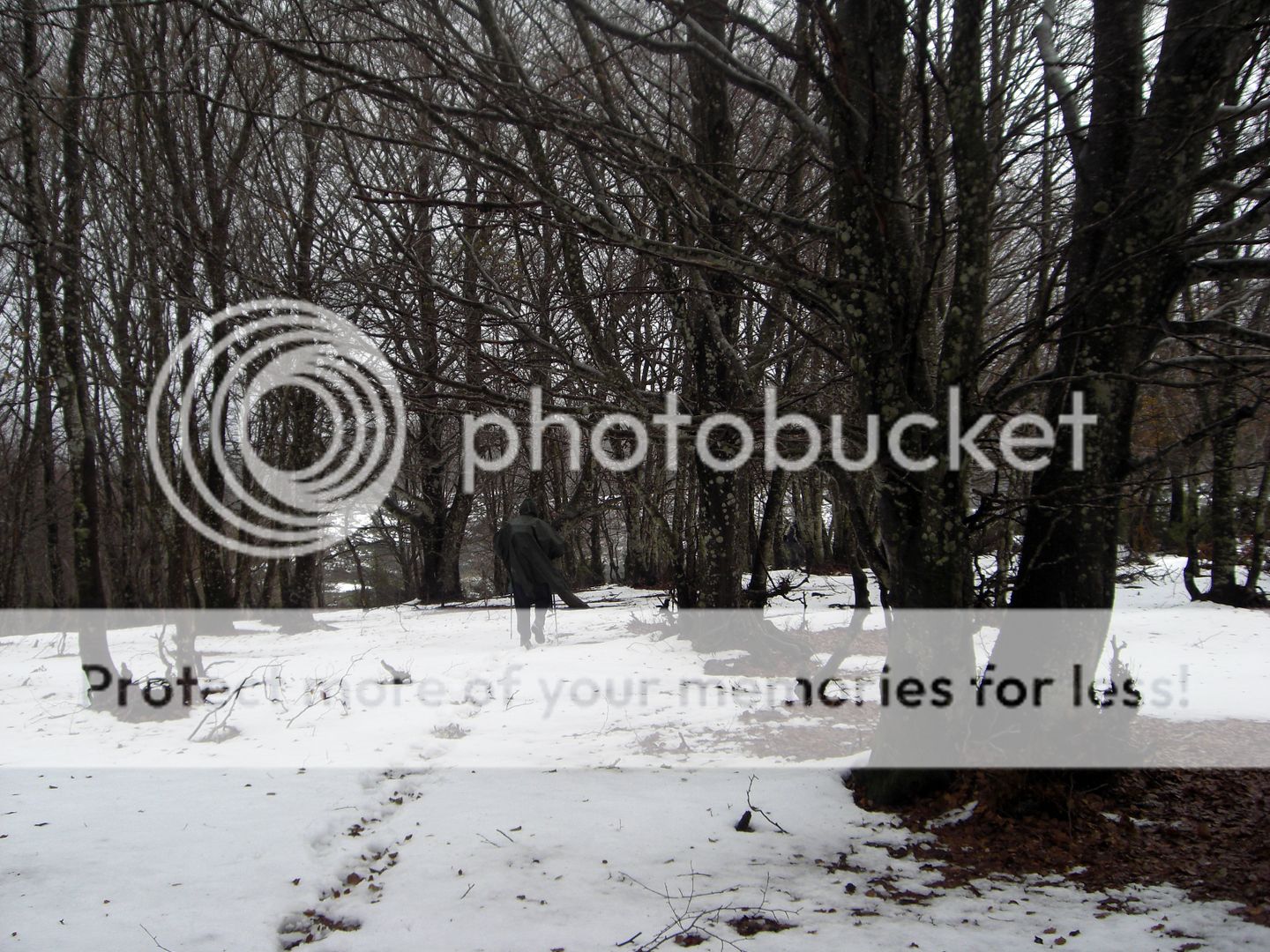 Photo Sharing and Video Hosting at Photobucket