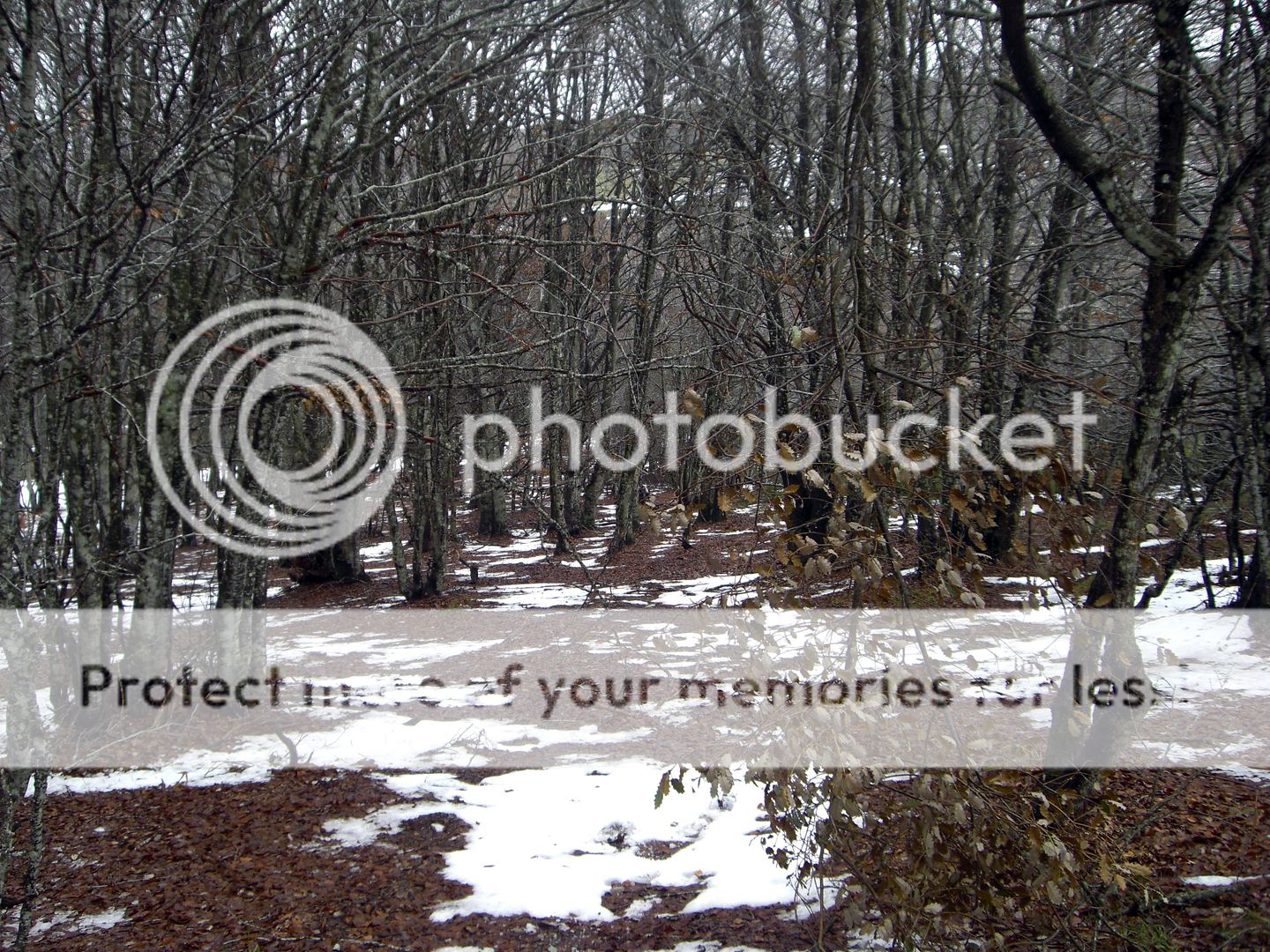 Photo Sharing and Video Hosting at Photobucket