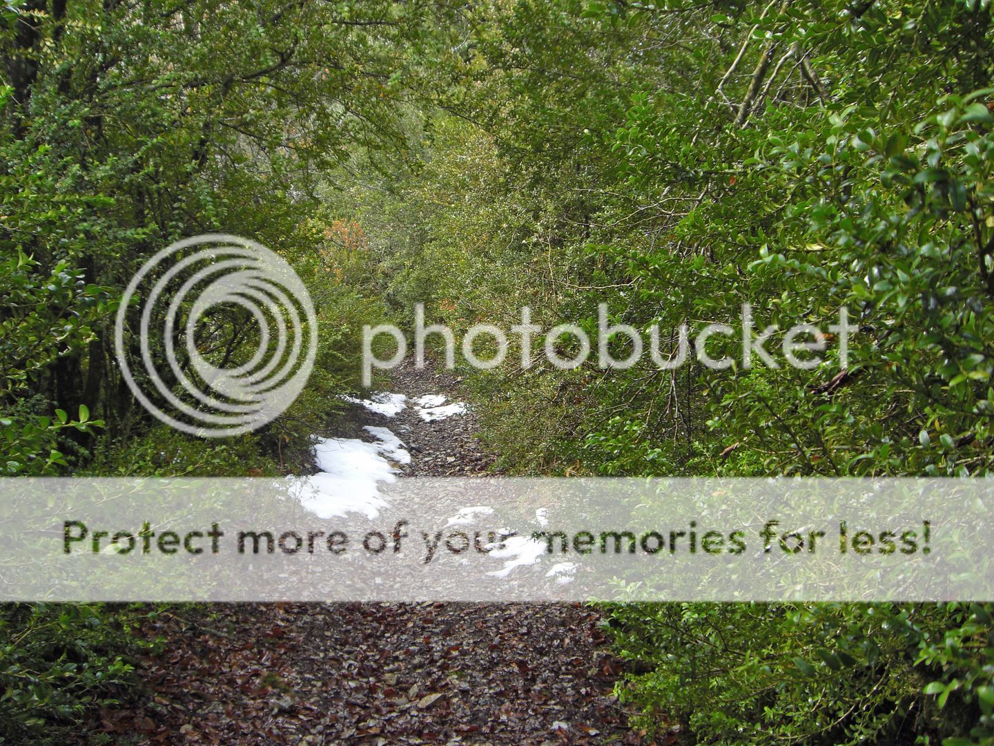 Photo Sharing and Video Hosting at Photobucket