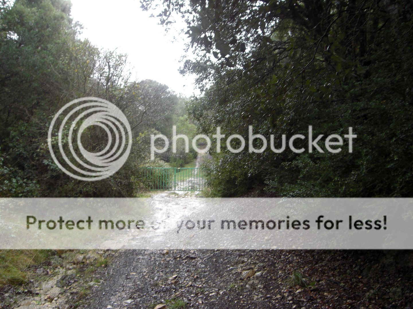 Photo Sharing and Video Hosting at Photobucket