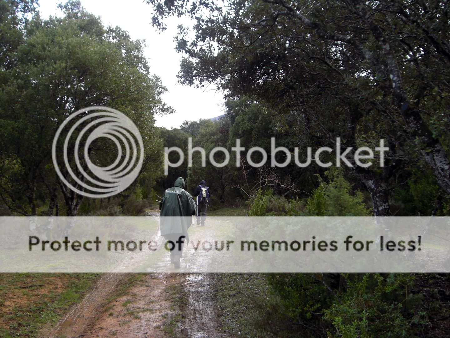 Photo Sharing and Video Hosting at Photobucket