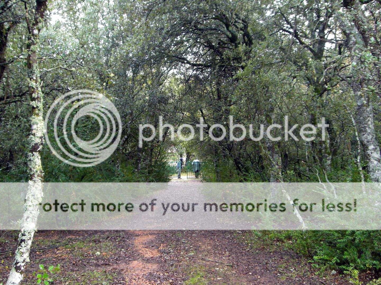 Photo Sharing and Video Hosting at Photobucket