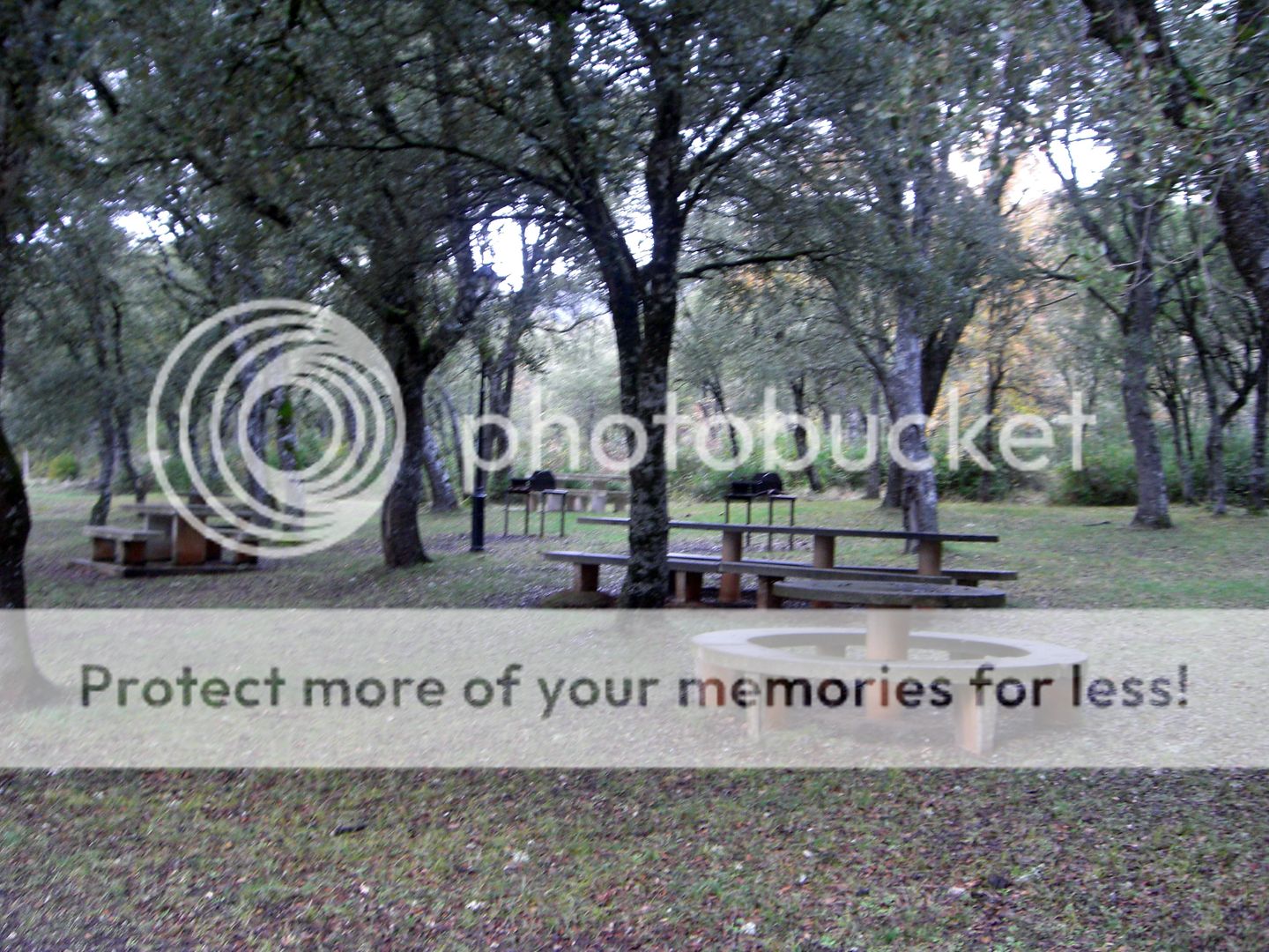 Photo Sharing and Video Hosting at Photobucket