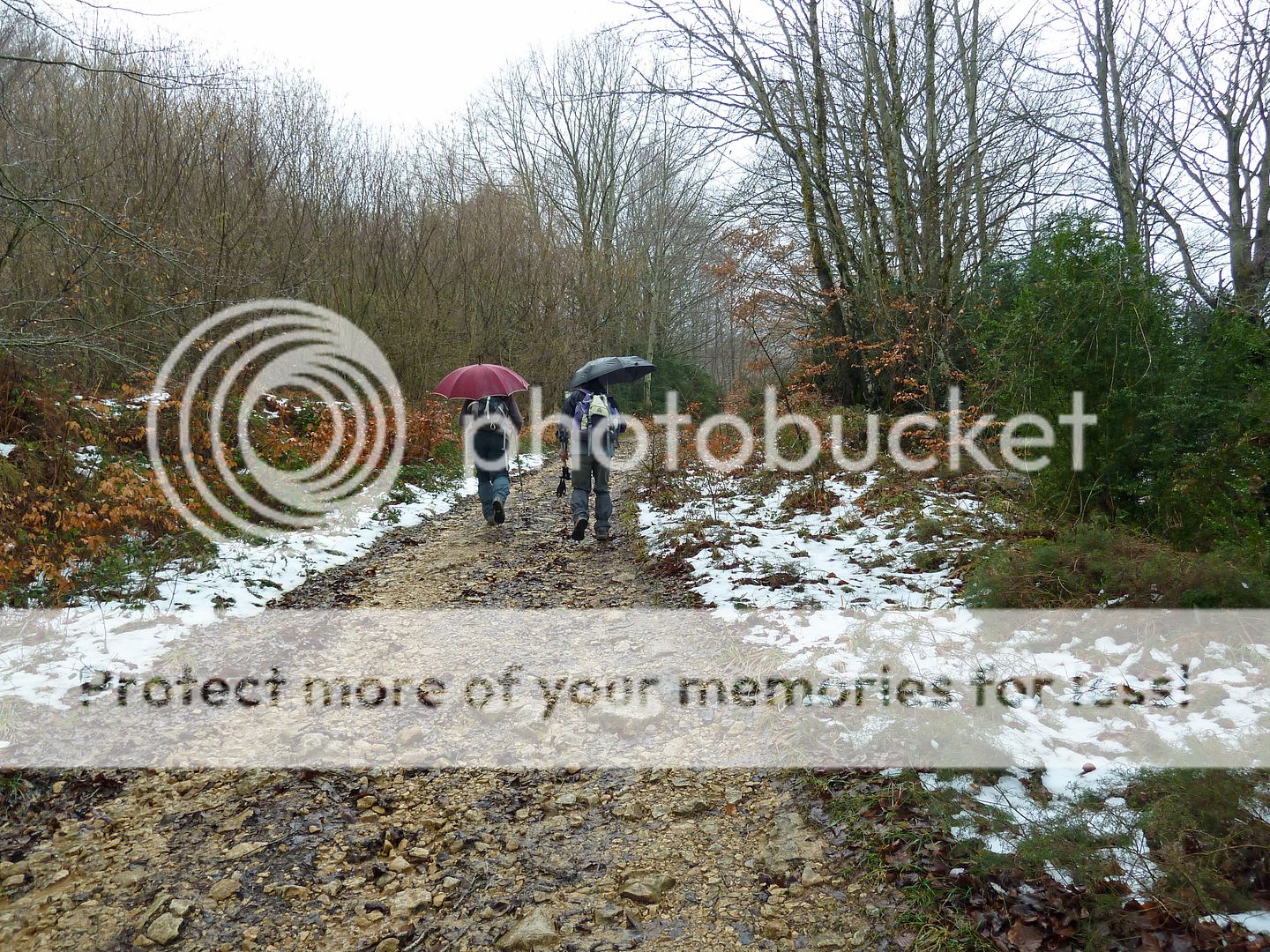 Photo Sharing and Video Hosting at Photobucket