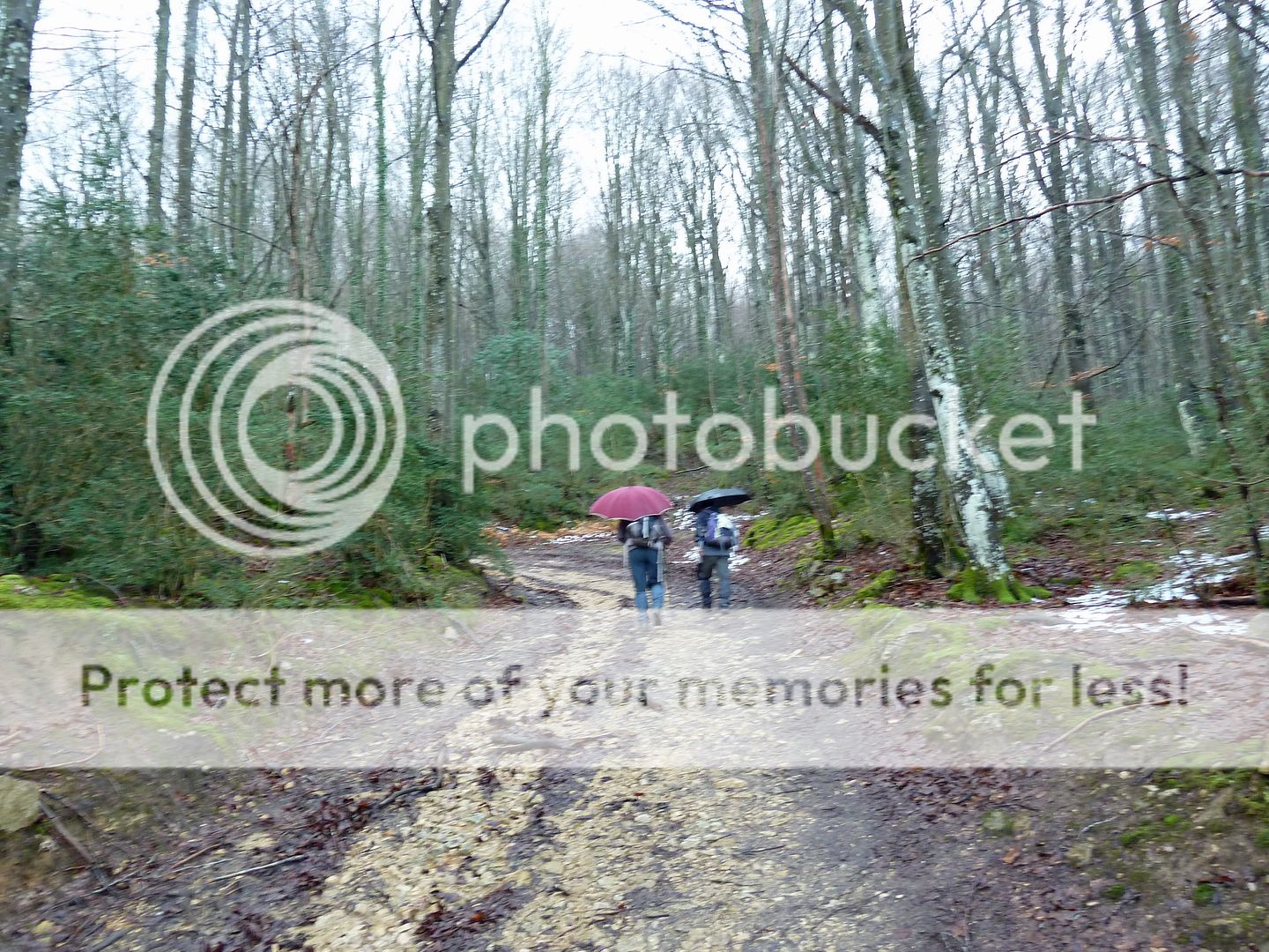 Photo Sharing and Video Hosting at Photobucket