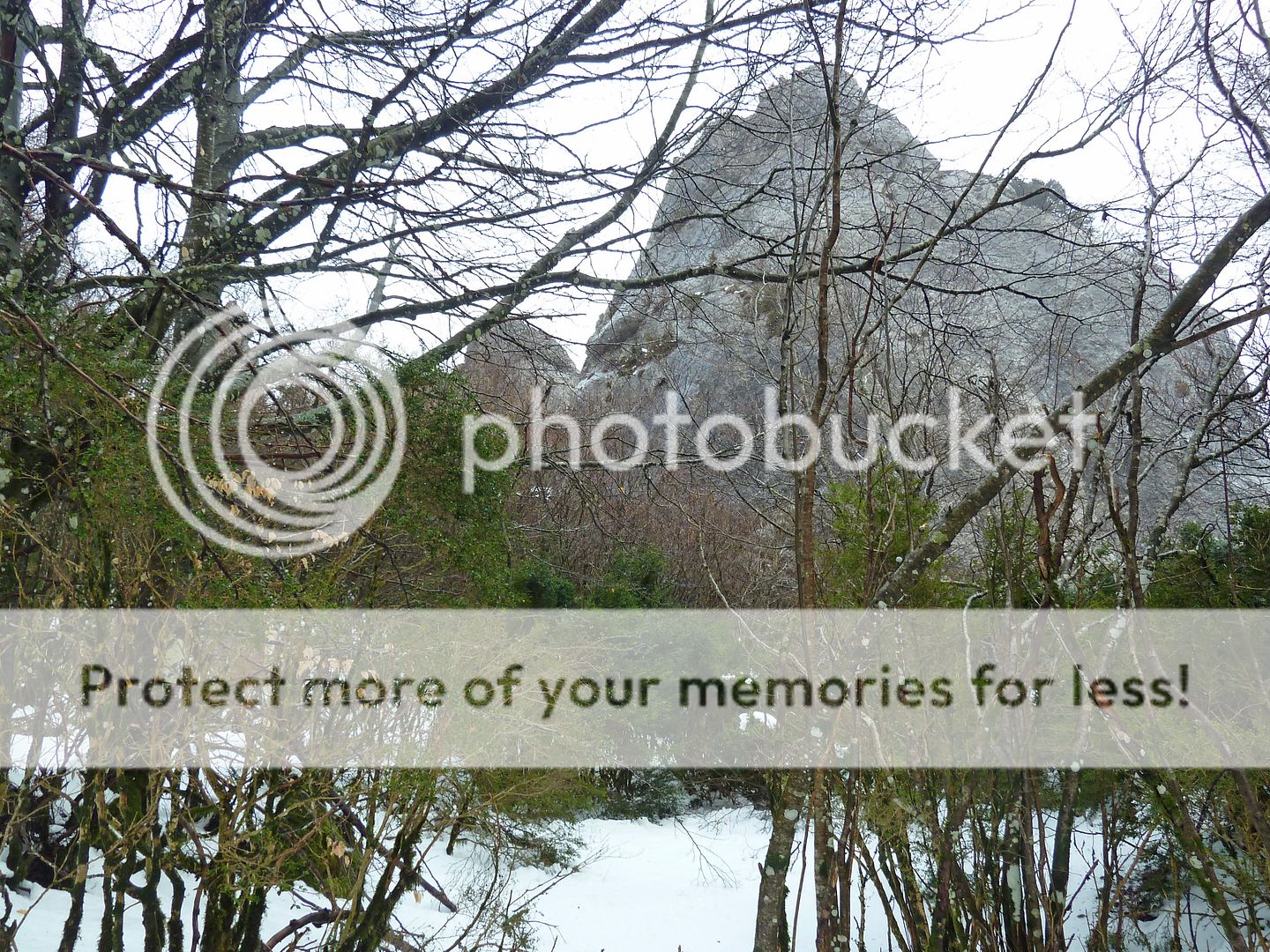 Photo Sharing and Video Hosting at Photobucket