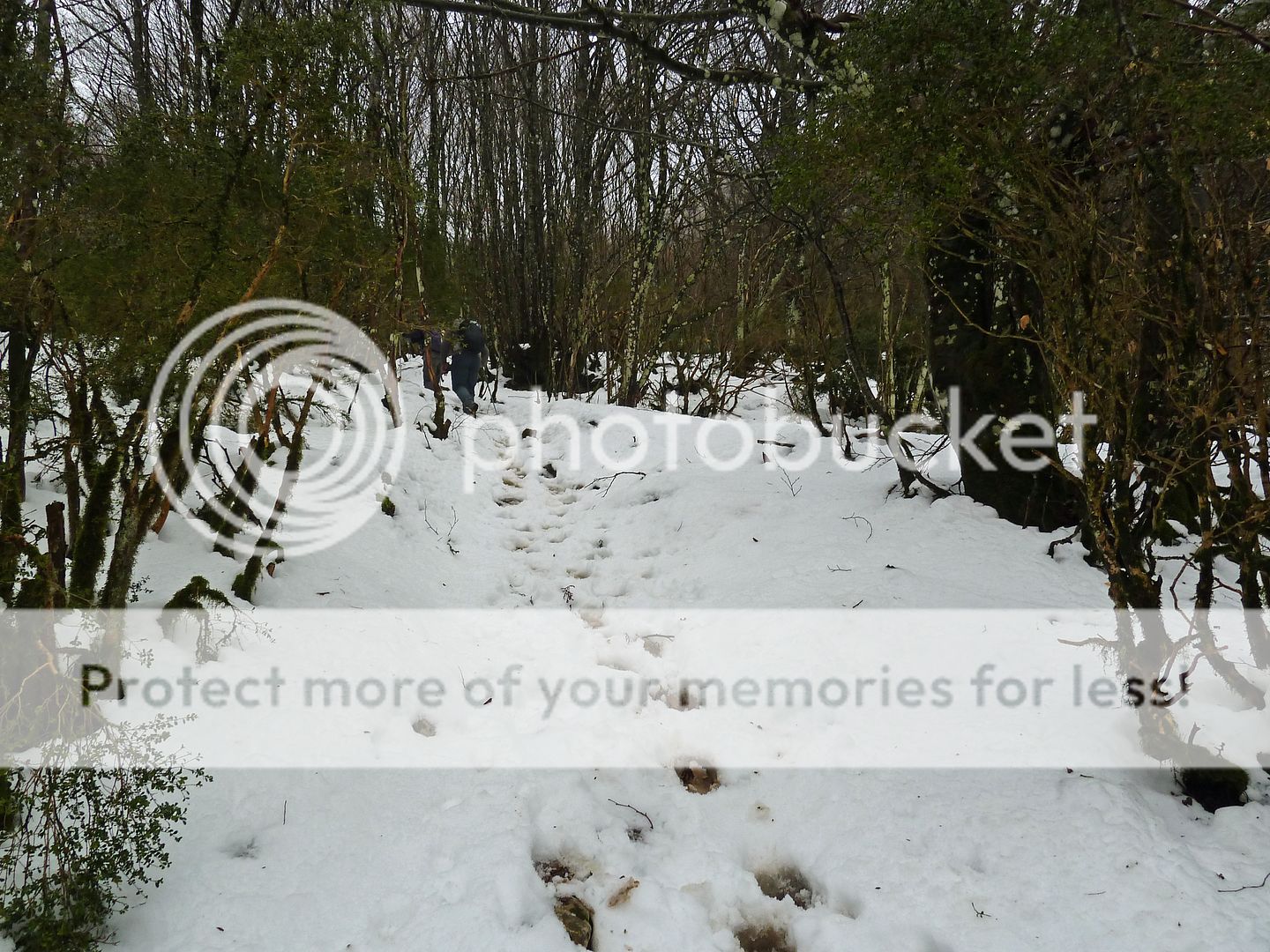 Photo Sharing and Video Hosting at Photobucket