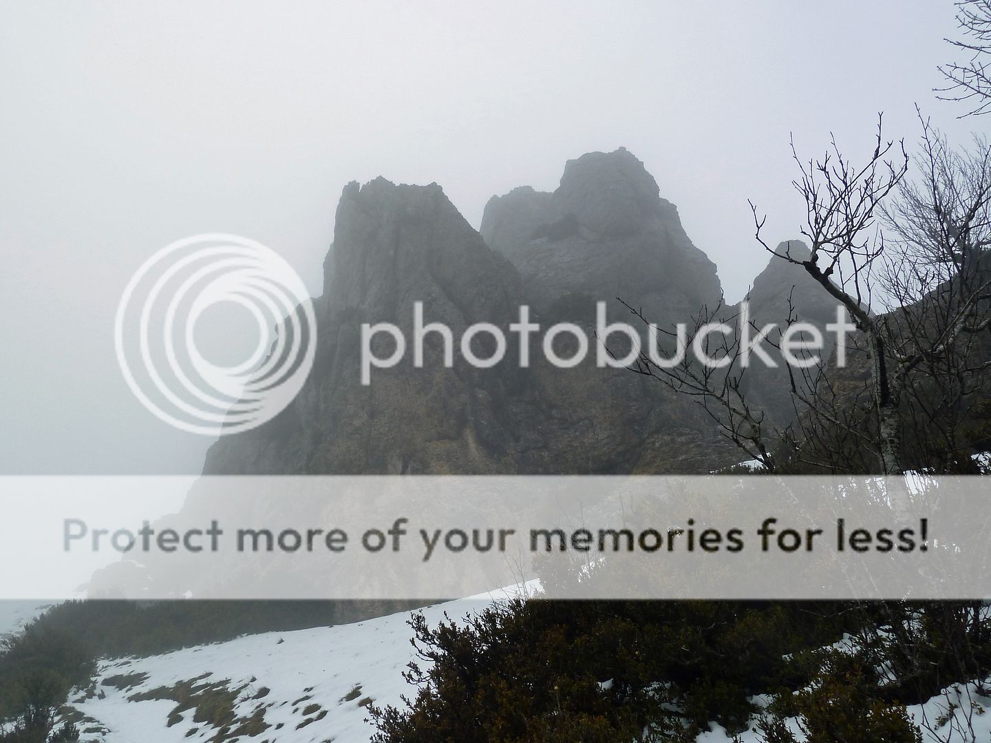 Photo Sharing and Video Hosting at Photobucket