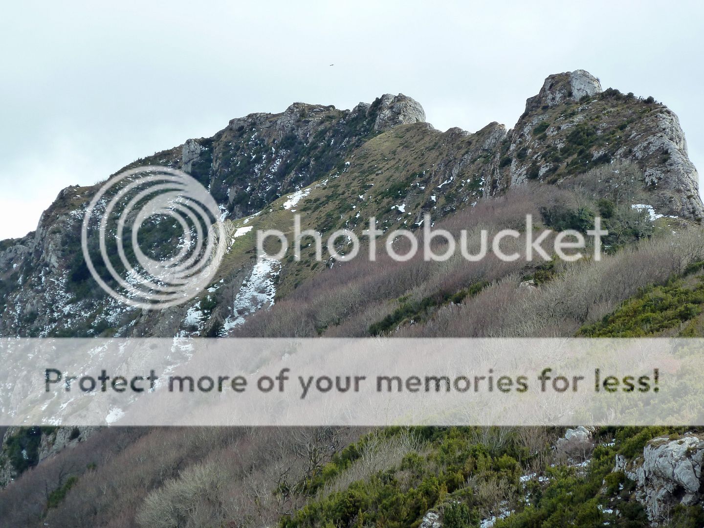 Photo Sharing and Video Hosting at Photobucket