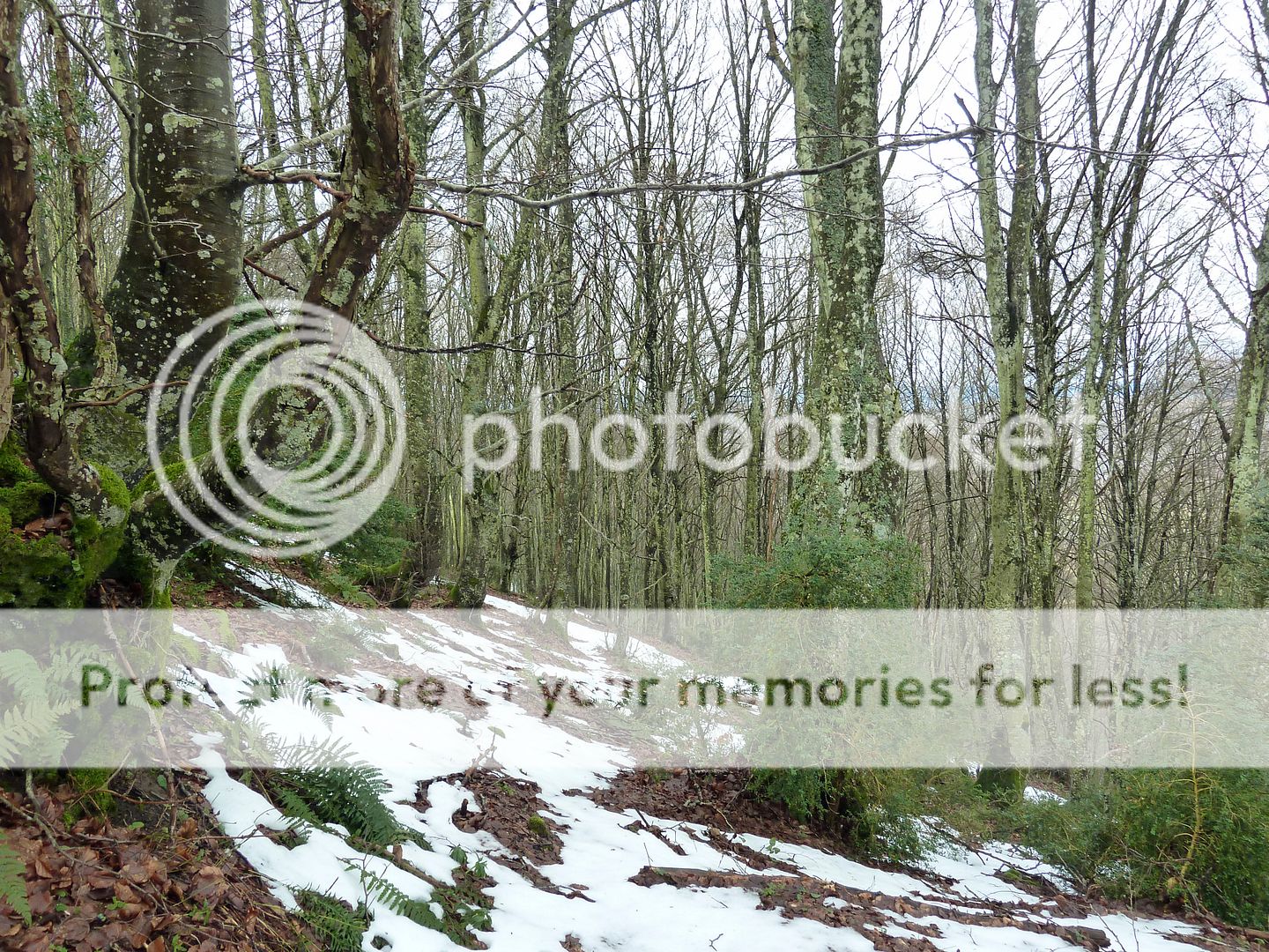 Photo Sharing and Video Hosting at Photobucket