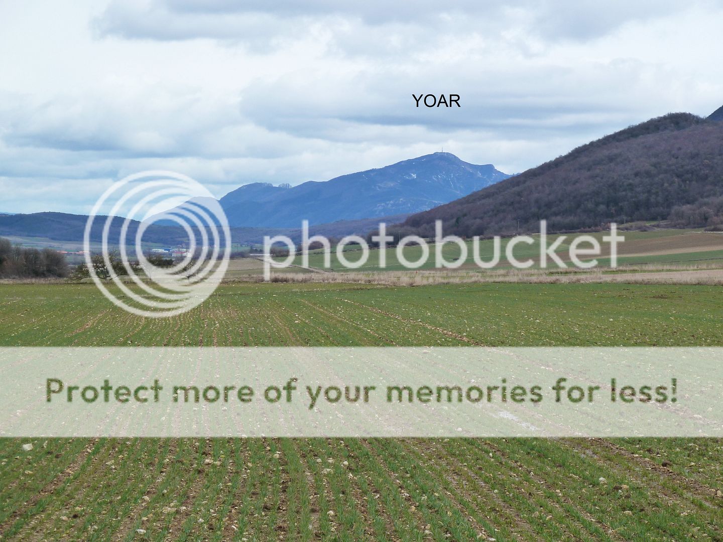 Photo Sharing and Video Hosting at Photobucket