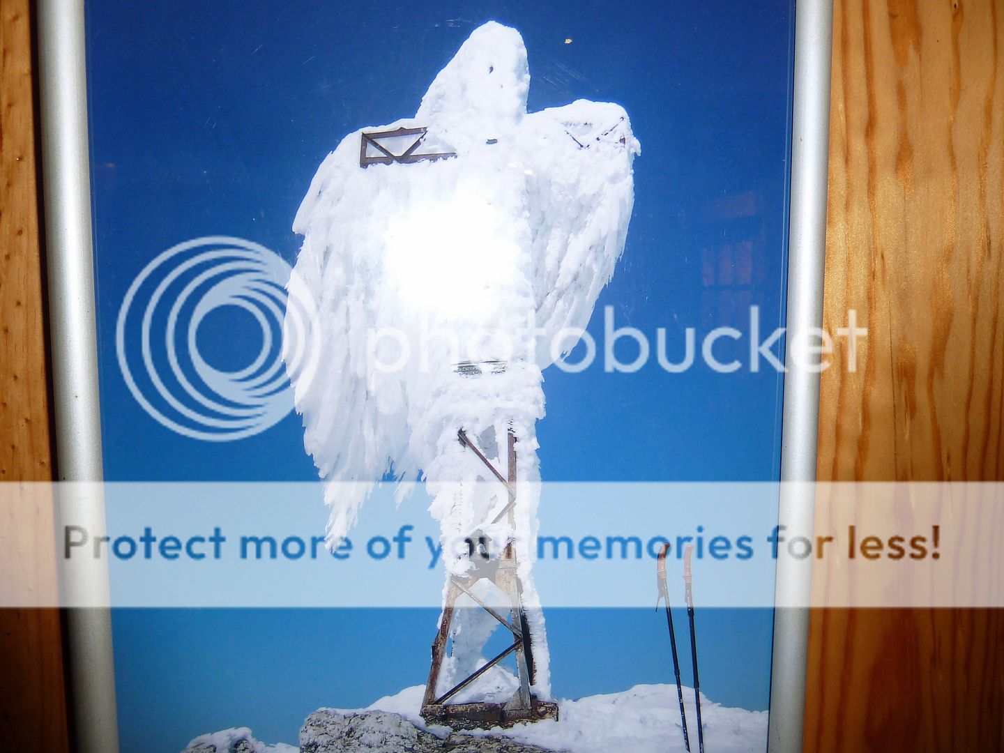 Photo Sharing and Video Hosting at Photobucket