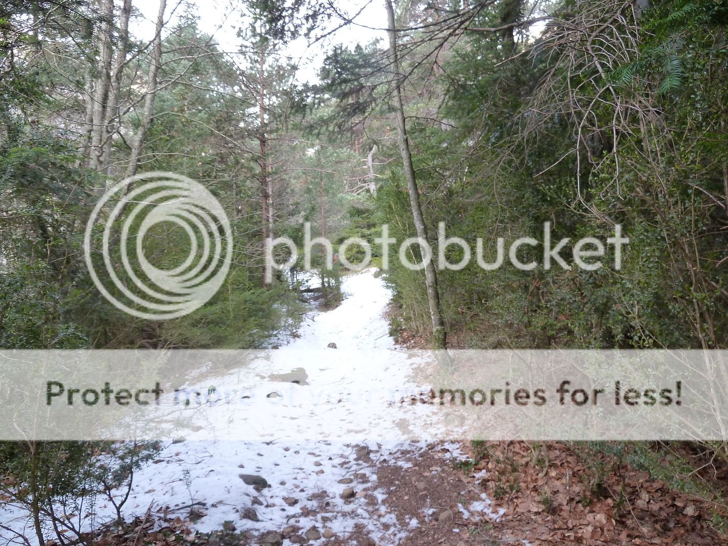 Photo Sharing and otobucVideo Hosting at Phket