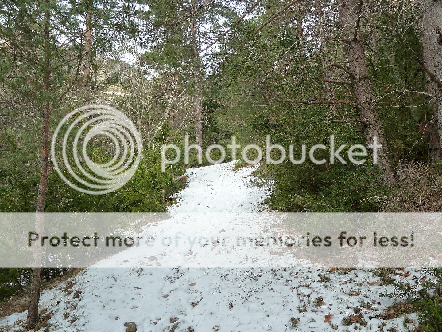 Photo Sharing and otobucVideo Hosting at Phket
