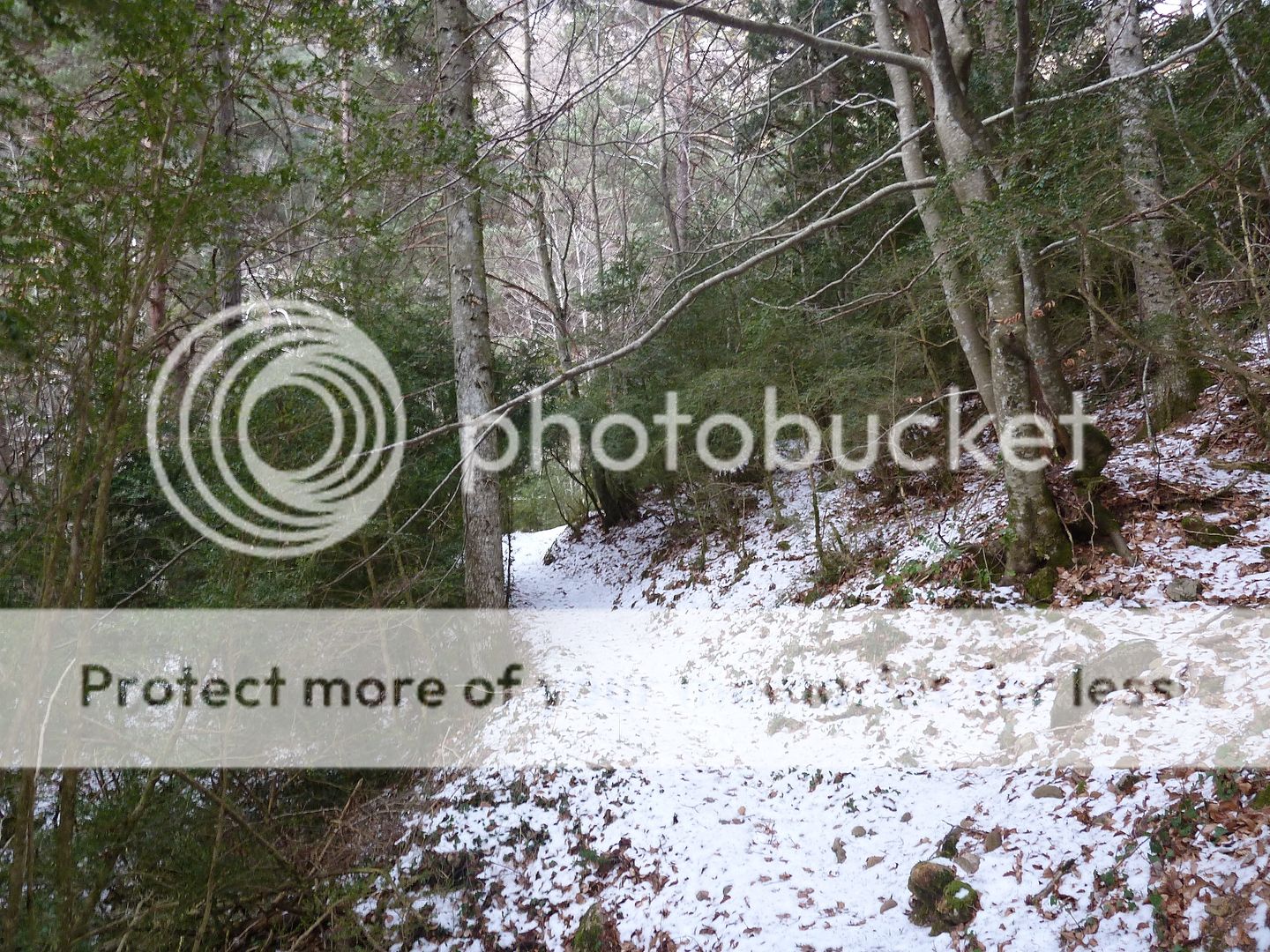 Photo Sharing and otobucVideo Hosting at Phket