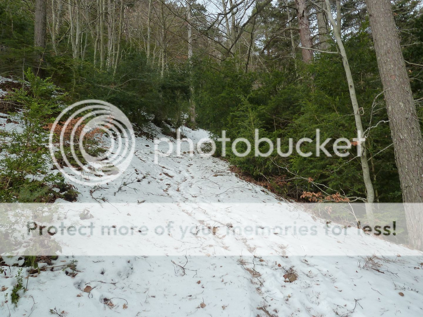 Photo Sharing and otobucVideo Hosting at Phket