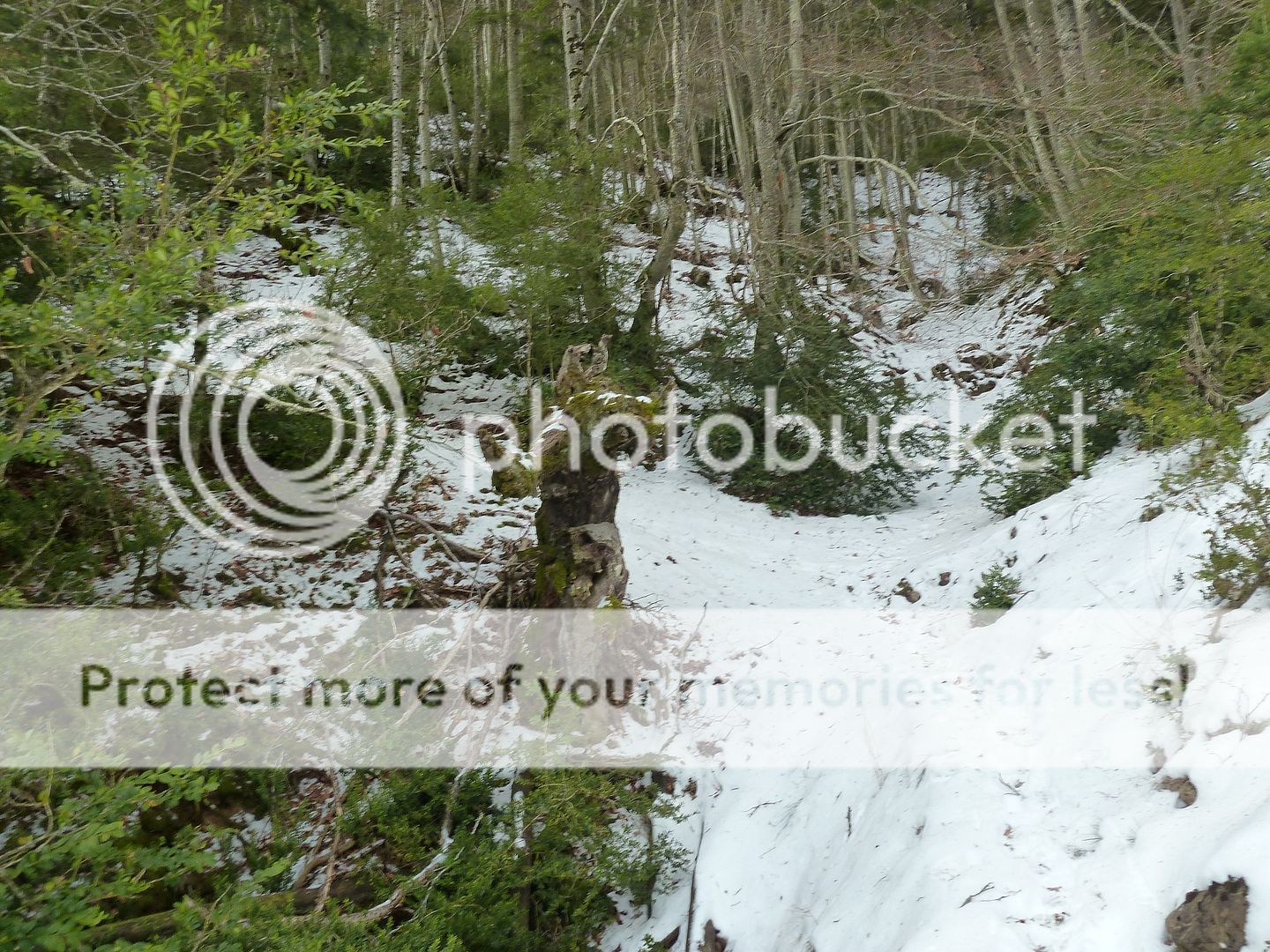 Photo Sharing and otobucVideo Hosting at Phket