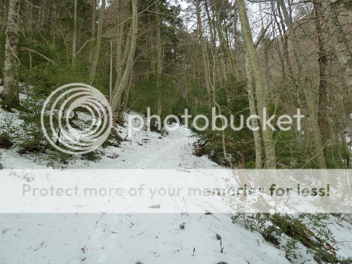 Photo Sharing and otobucVideo Hosting at Phket