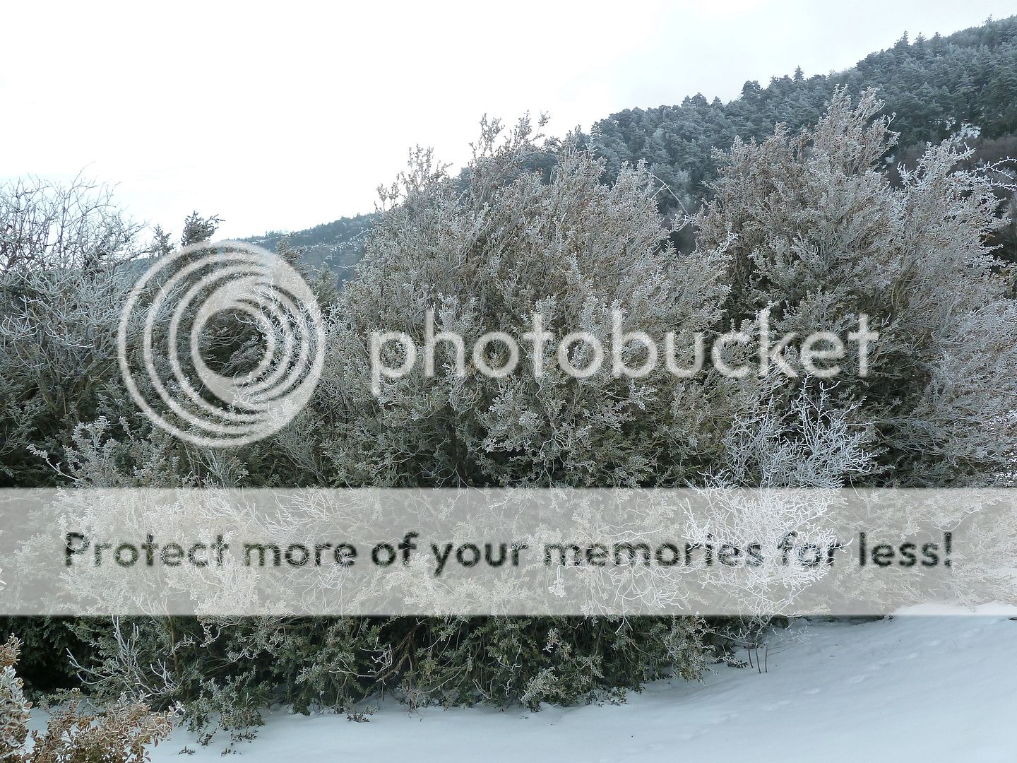 Photo Sharing and otobucVideo Hosting at Phket