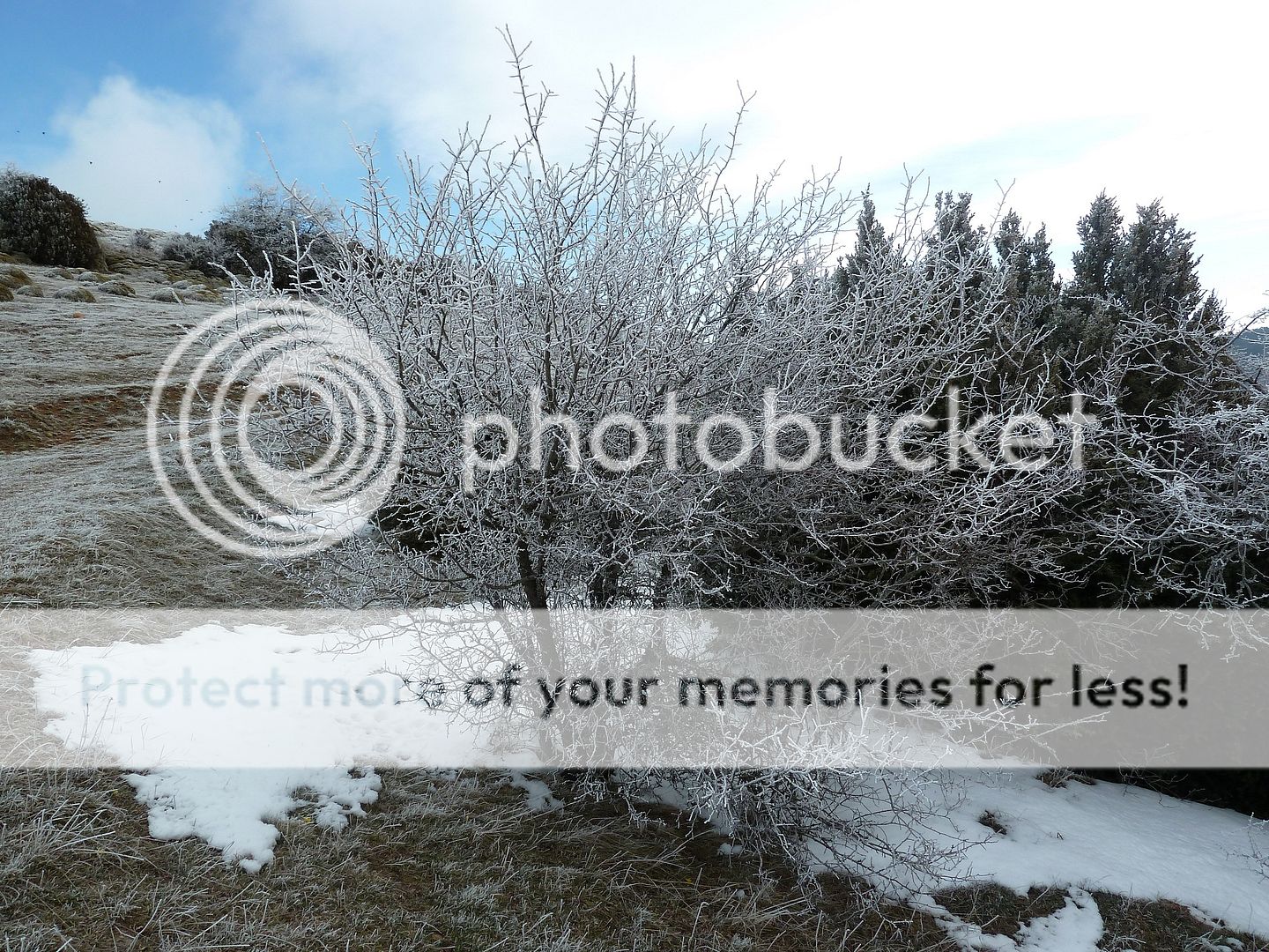 Photo Sharing and otobucVideo Hosting at Phket