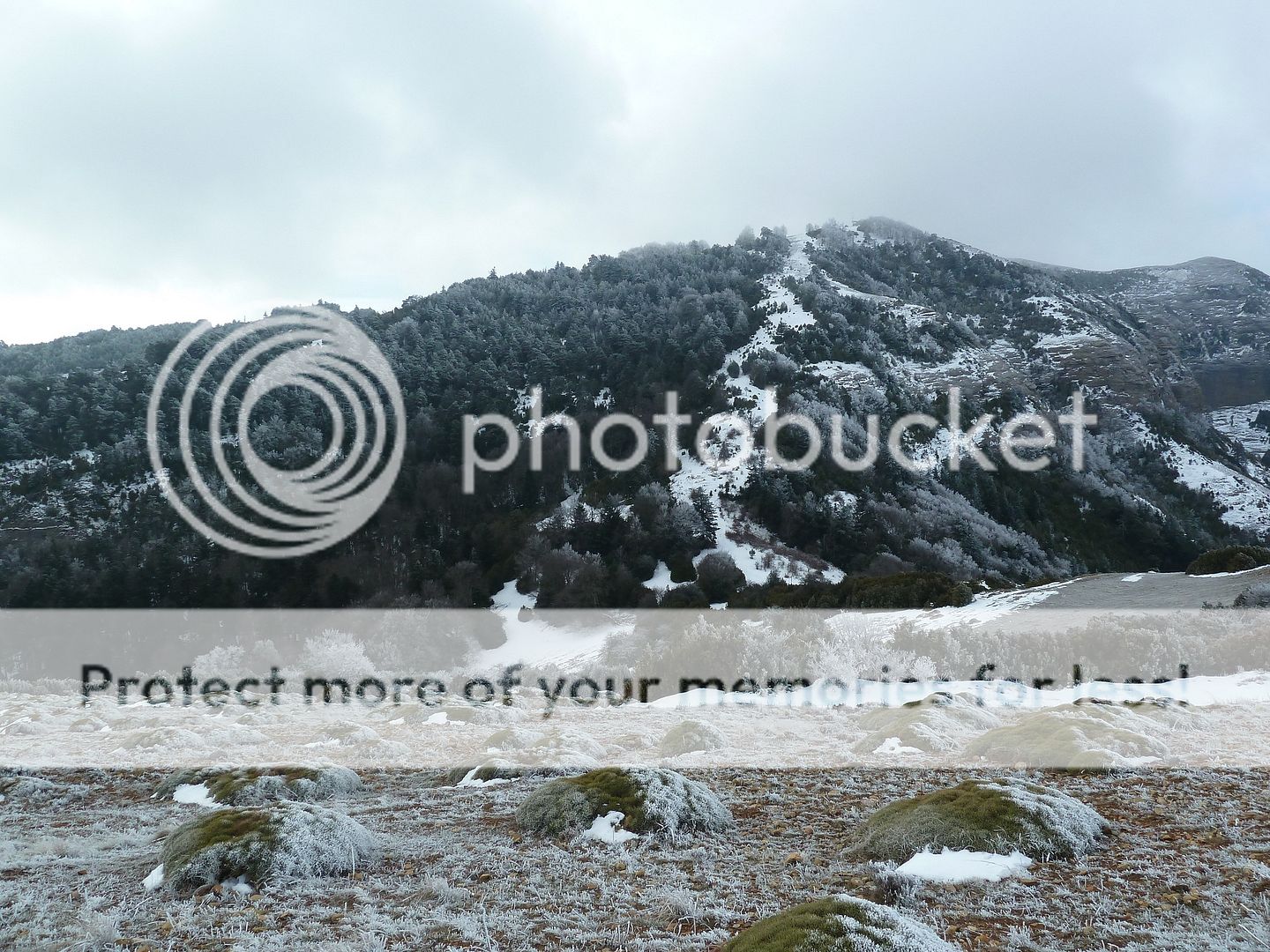 Photo Sharing and otobucVideo Hosting at Phket