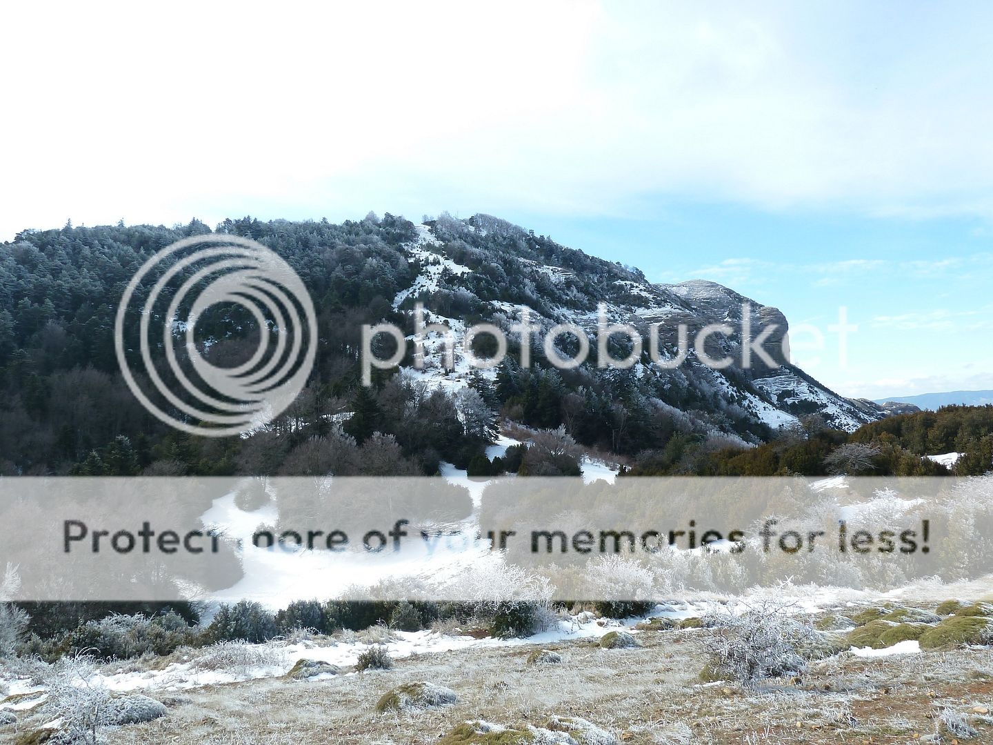 Photo Sharing and otobucVideo Hosting at Phket