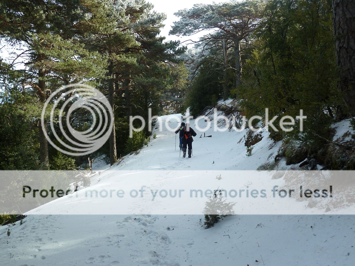 Photo Sharing and otobucVideo Hosting at Phket