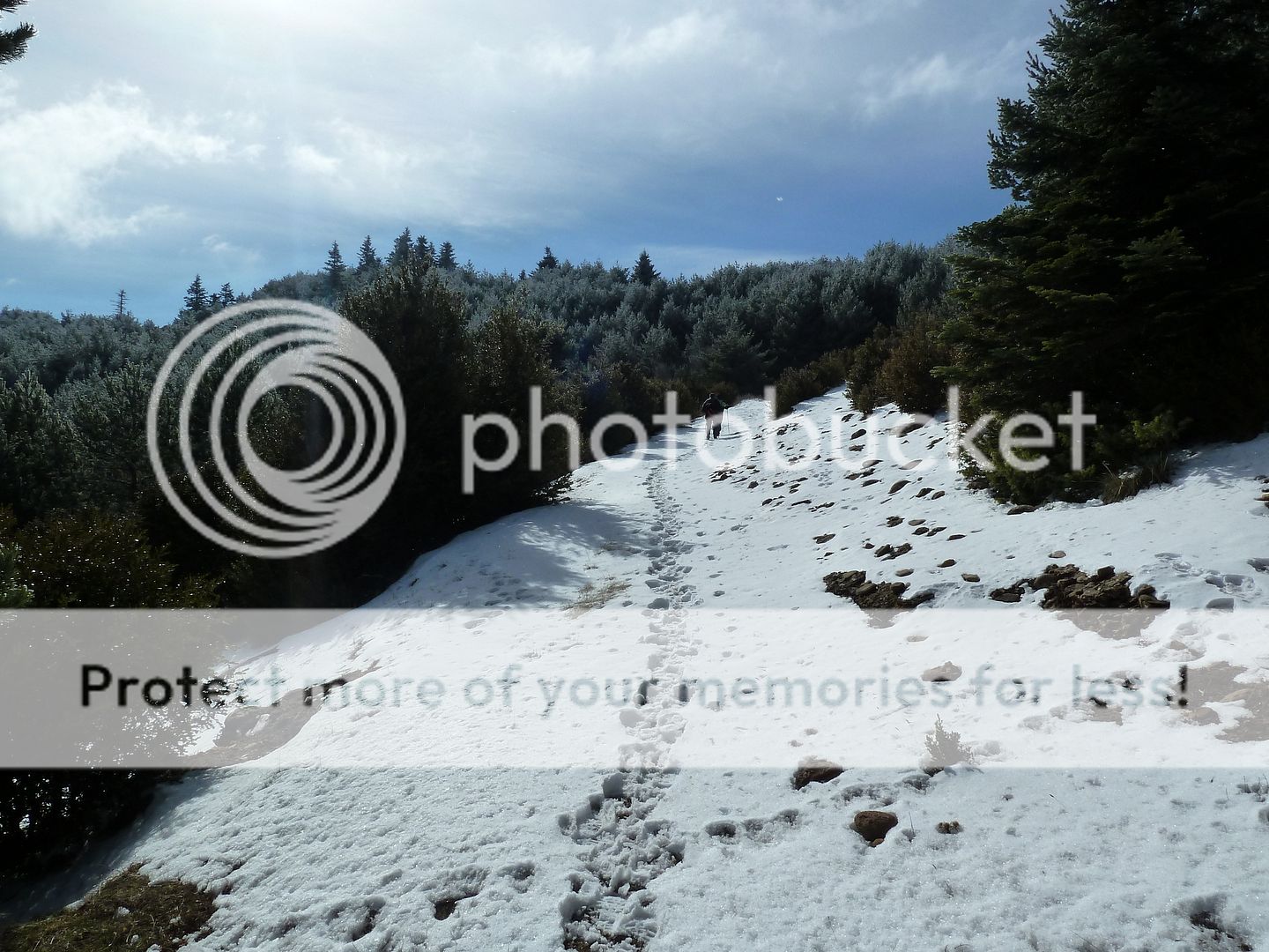 Photo Sharing and otobucVideo Hosting at Phket