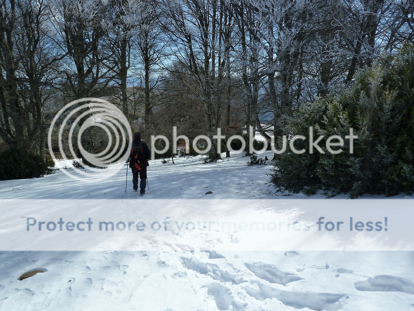 Photo Sharing and otobucVideo Hosting at Phket
