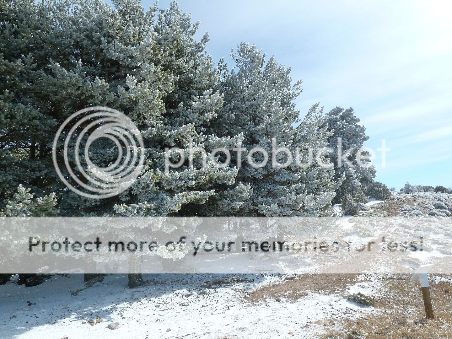 Photo Sharing and otobucVideo Hosting at Phket