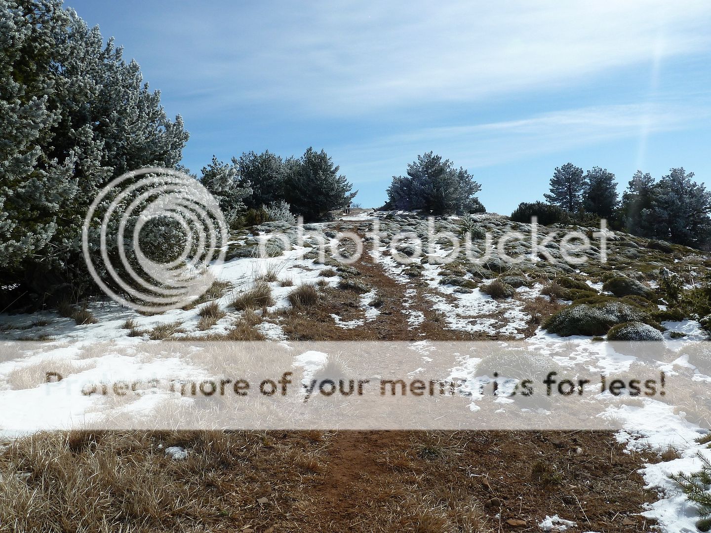 Photo Sharing and otobucVideo Hosting at Phket