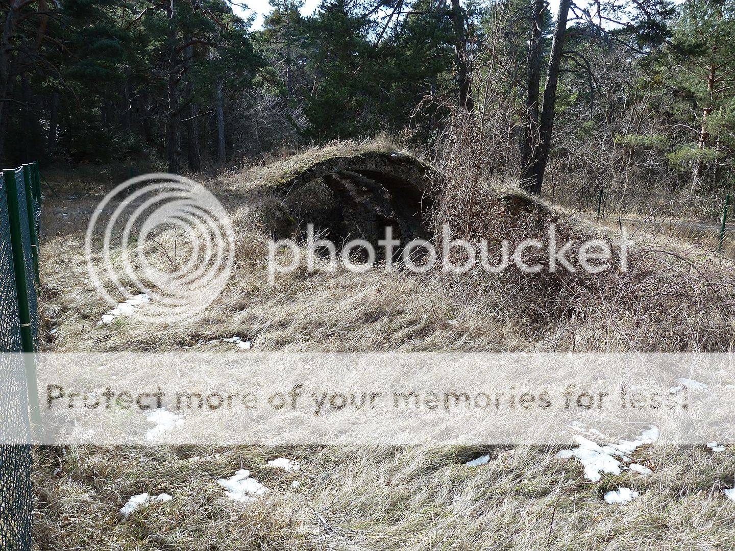 Photo Sharing and otobucVideo Hosting at Phket