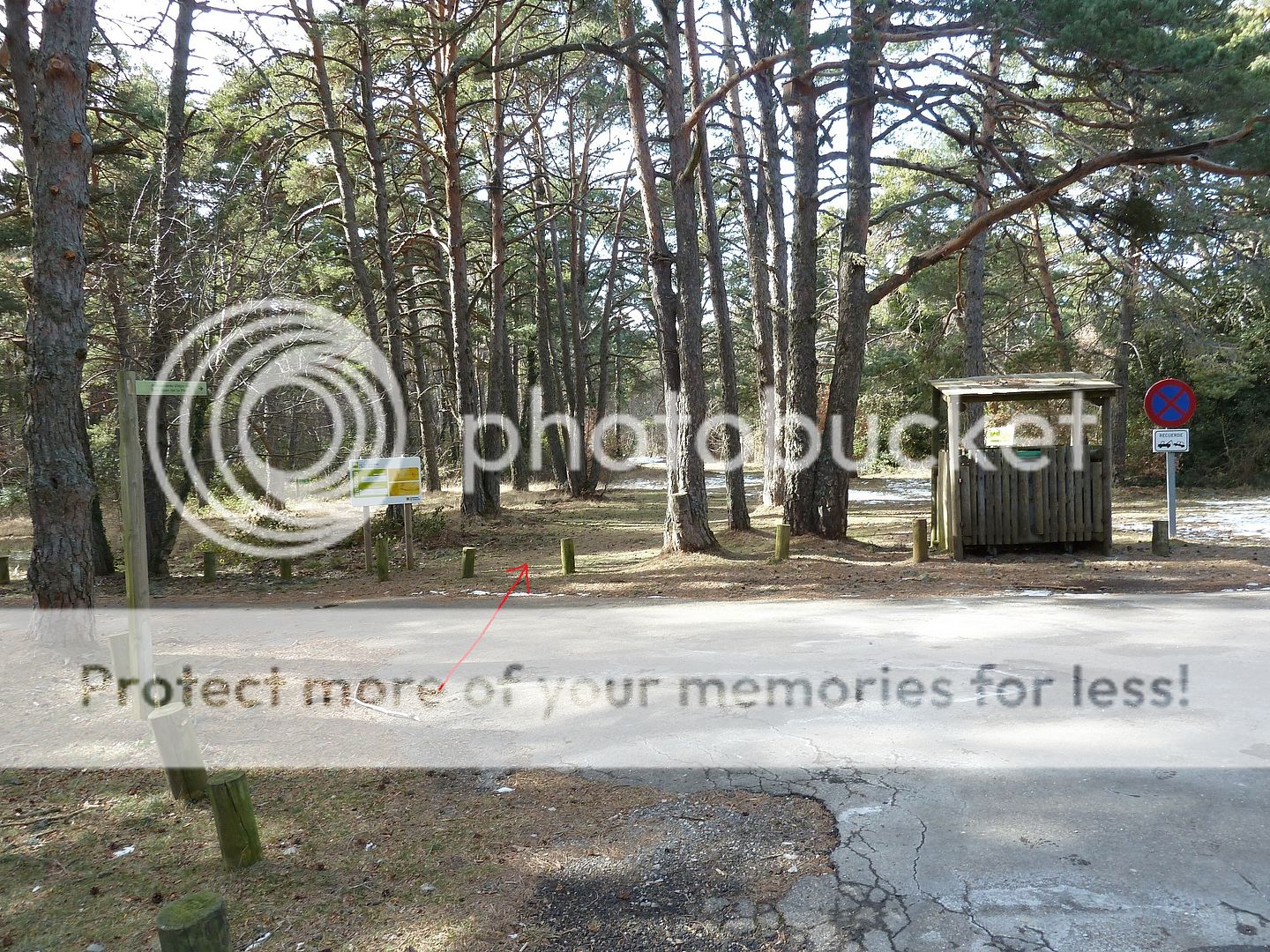 Photo Sharing and otobucVideo Hosting at Phket