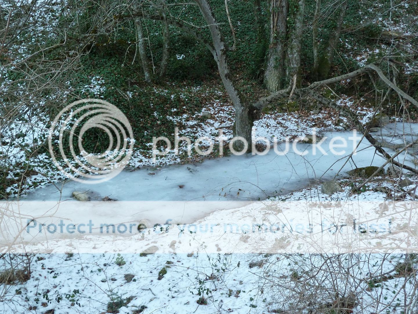 Photo Sharing and otobucVideo Hosting at Phket