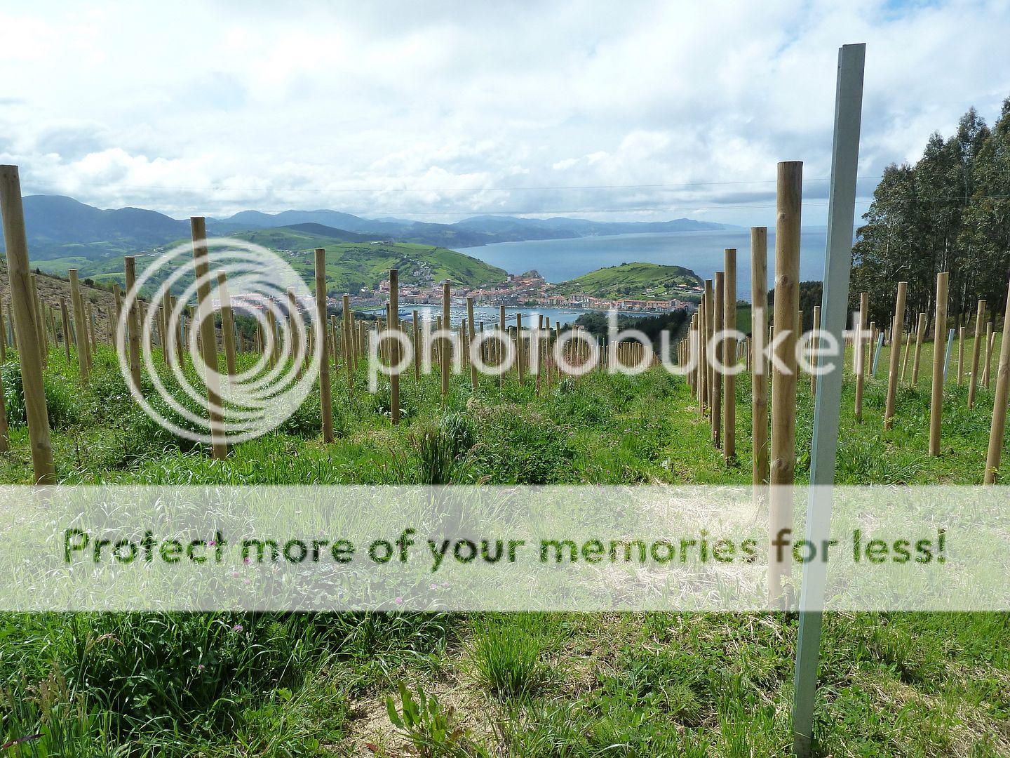 Photo Sharing and Video Hosting at Photobucket