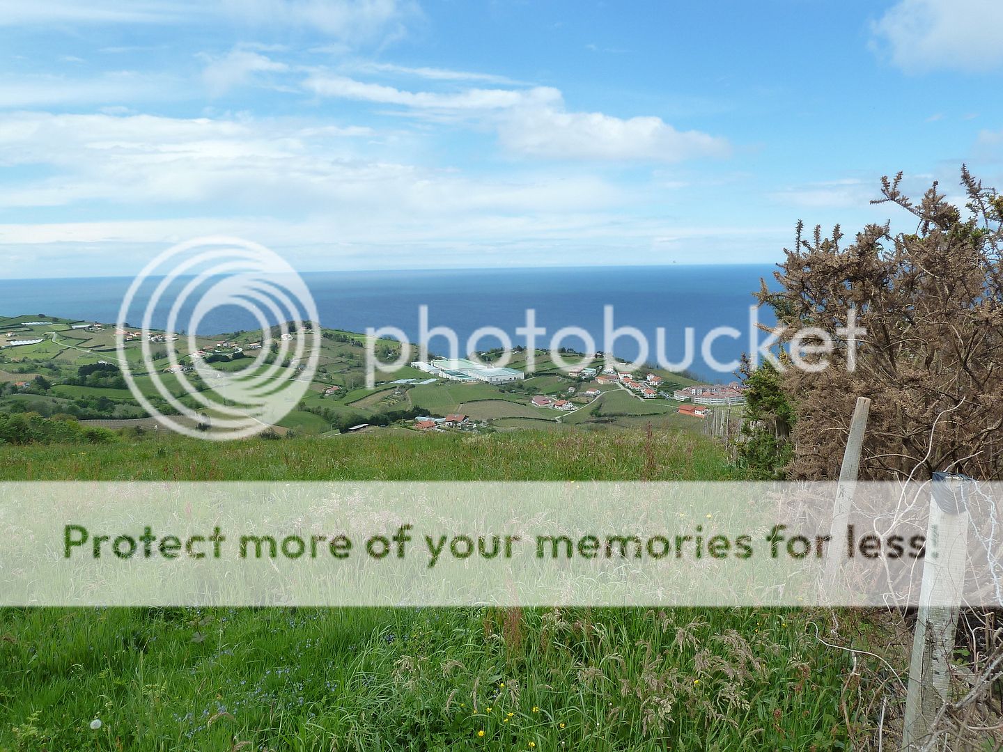 Photo Sharing and Video Hosting at Photobucket