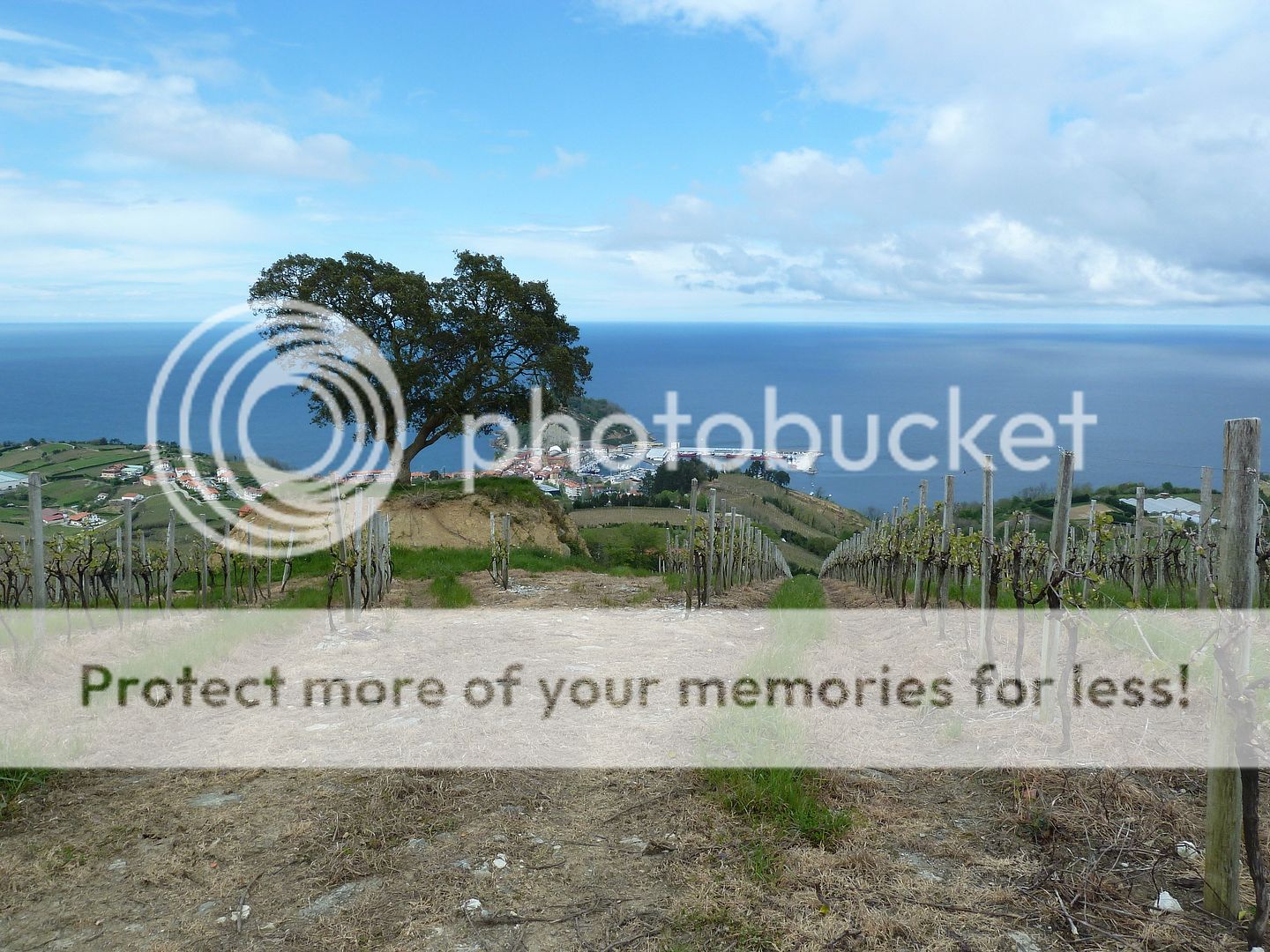 Photo Sharing and Video Hosting at Photobucket