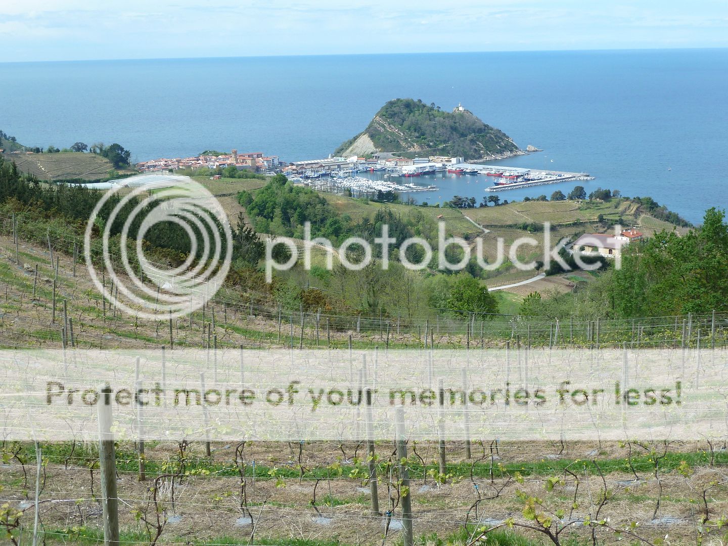 Photo Sharing and Video Hosting at Photobucket