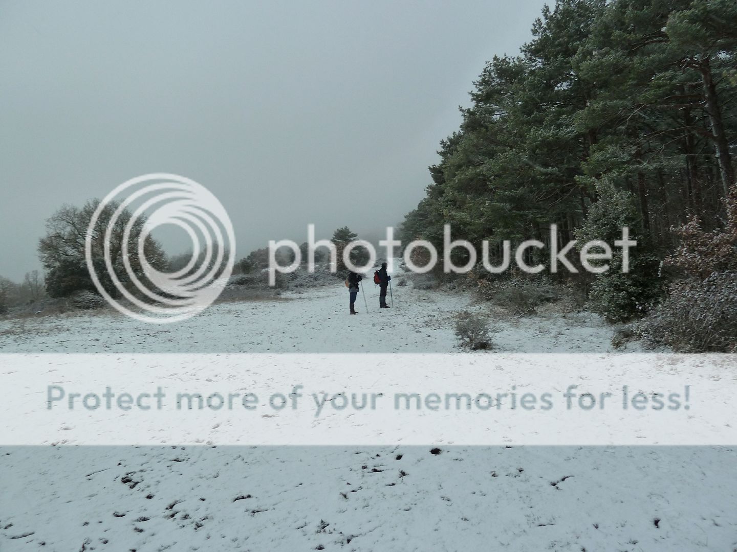 Photo Sharing and Video Hosting at Photobucket