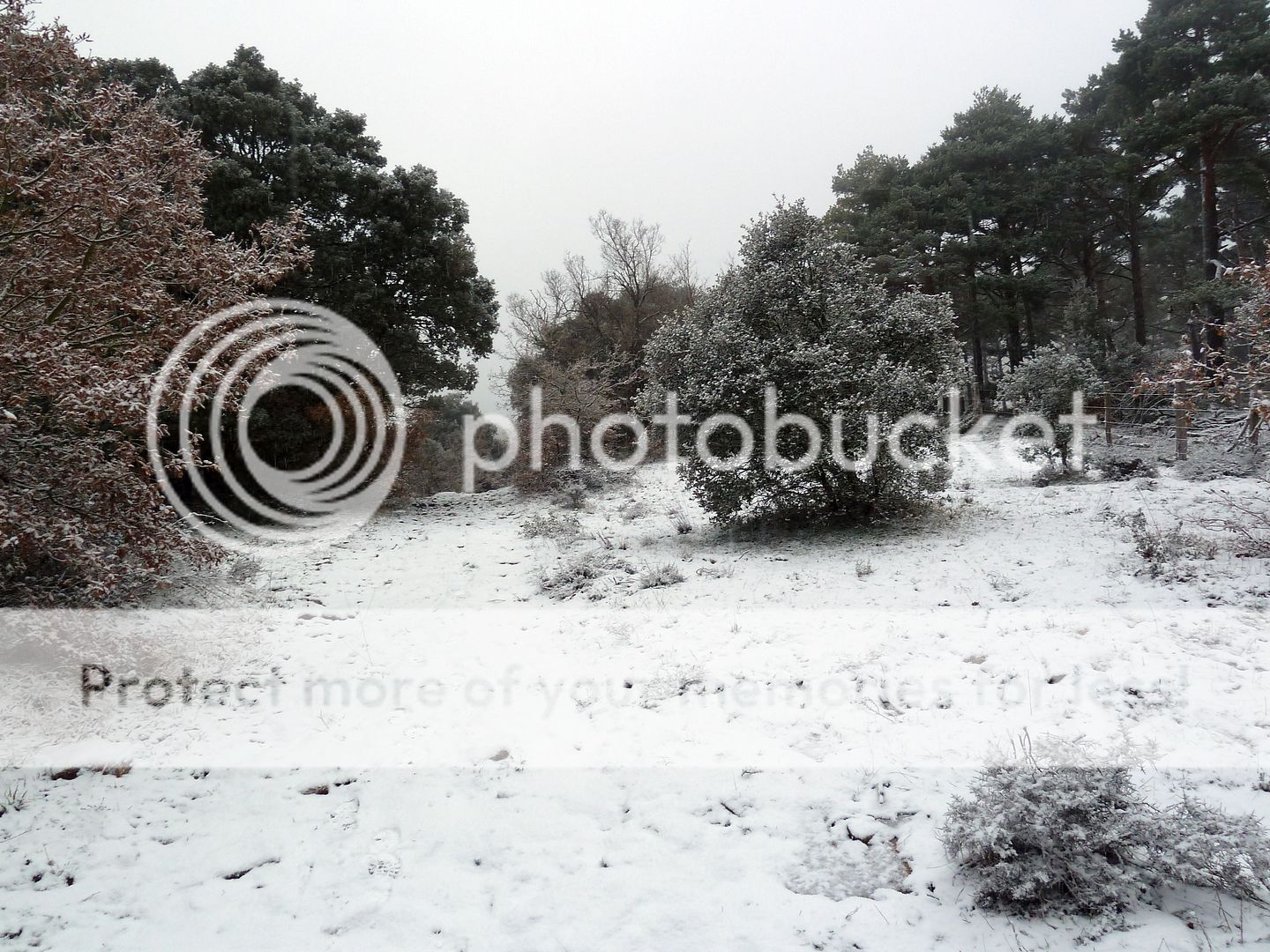 Photo Sharing and Video Hosting at Photobucket
