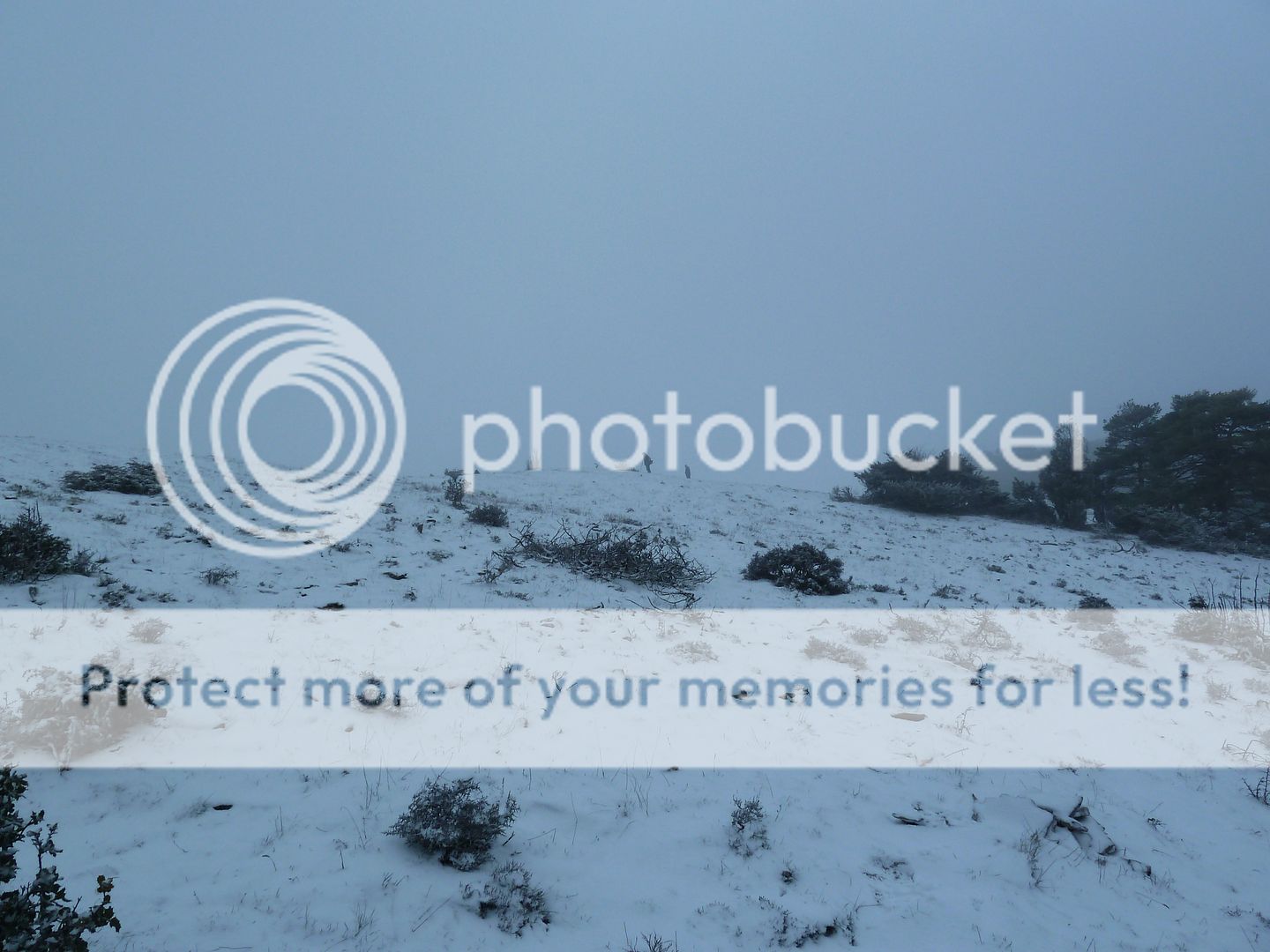 Photo Sharing and Video Hosting at Photobucket