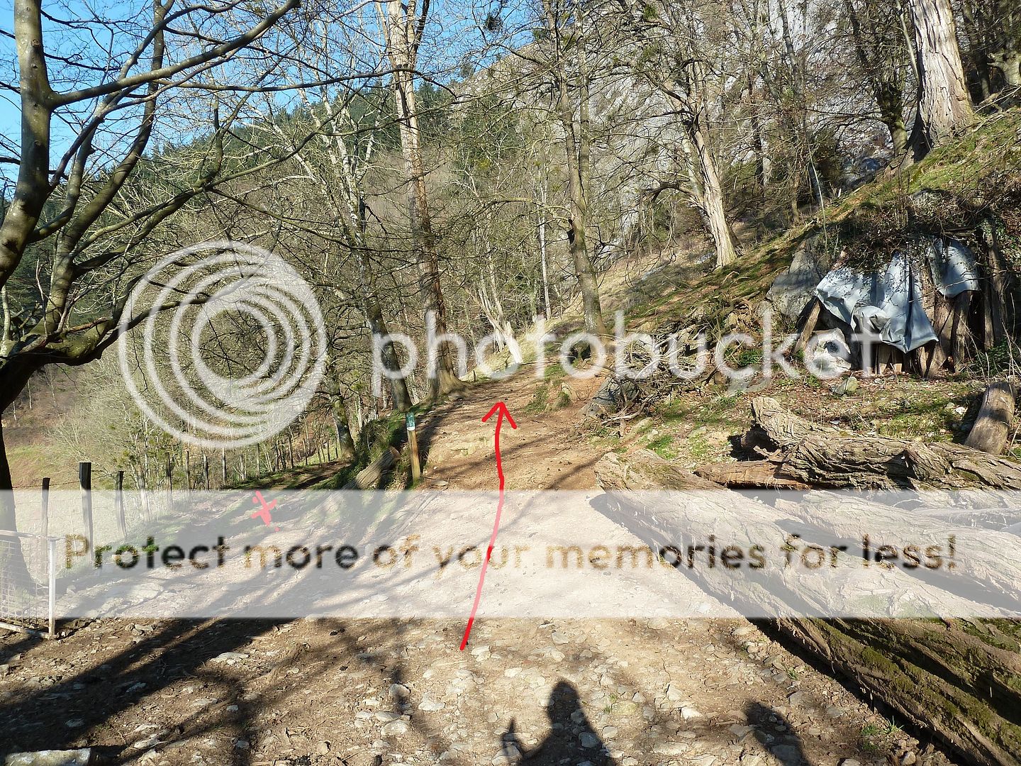 Photo Sharing and Video Hosting at Photobucket