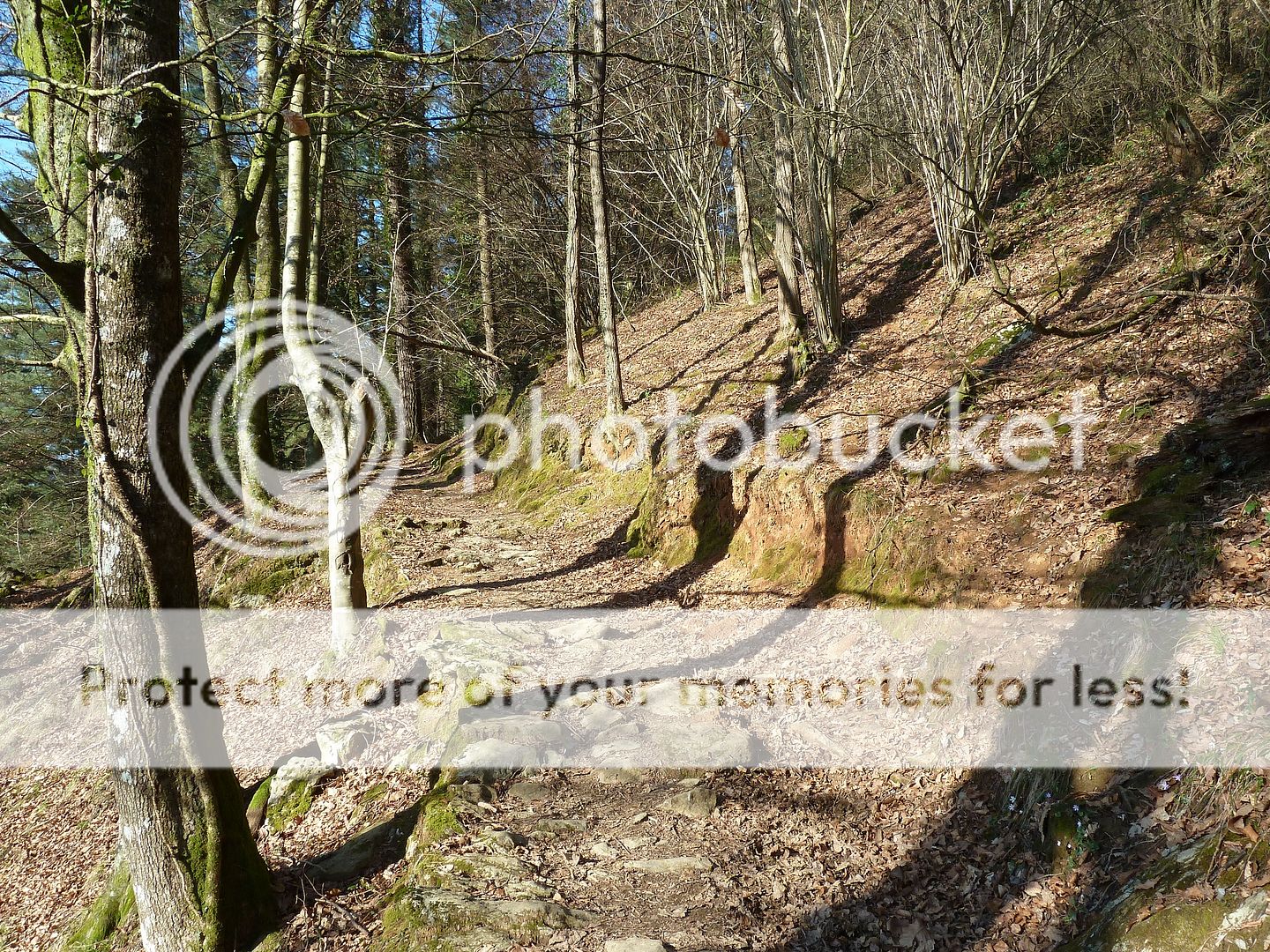 Photo Sharing and Video Hosting at Photobucket