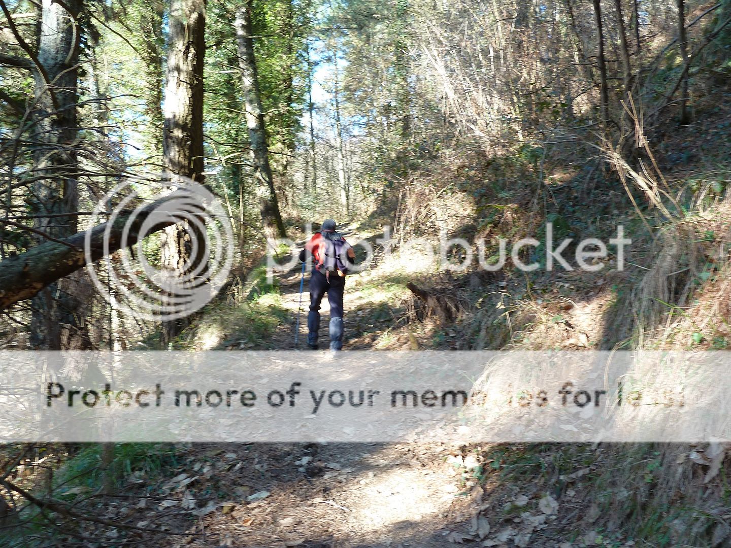 Photo Sharing and Video Hosting at Photobucket